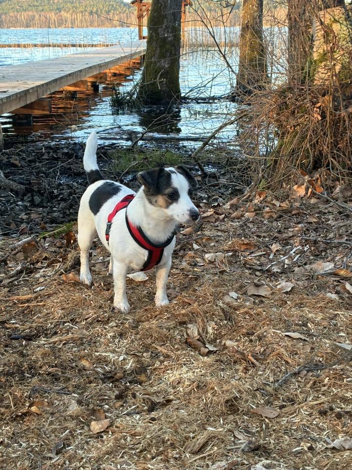 fot. Sylwia Podgórska