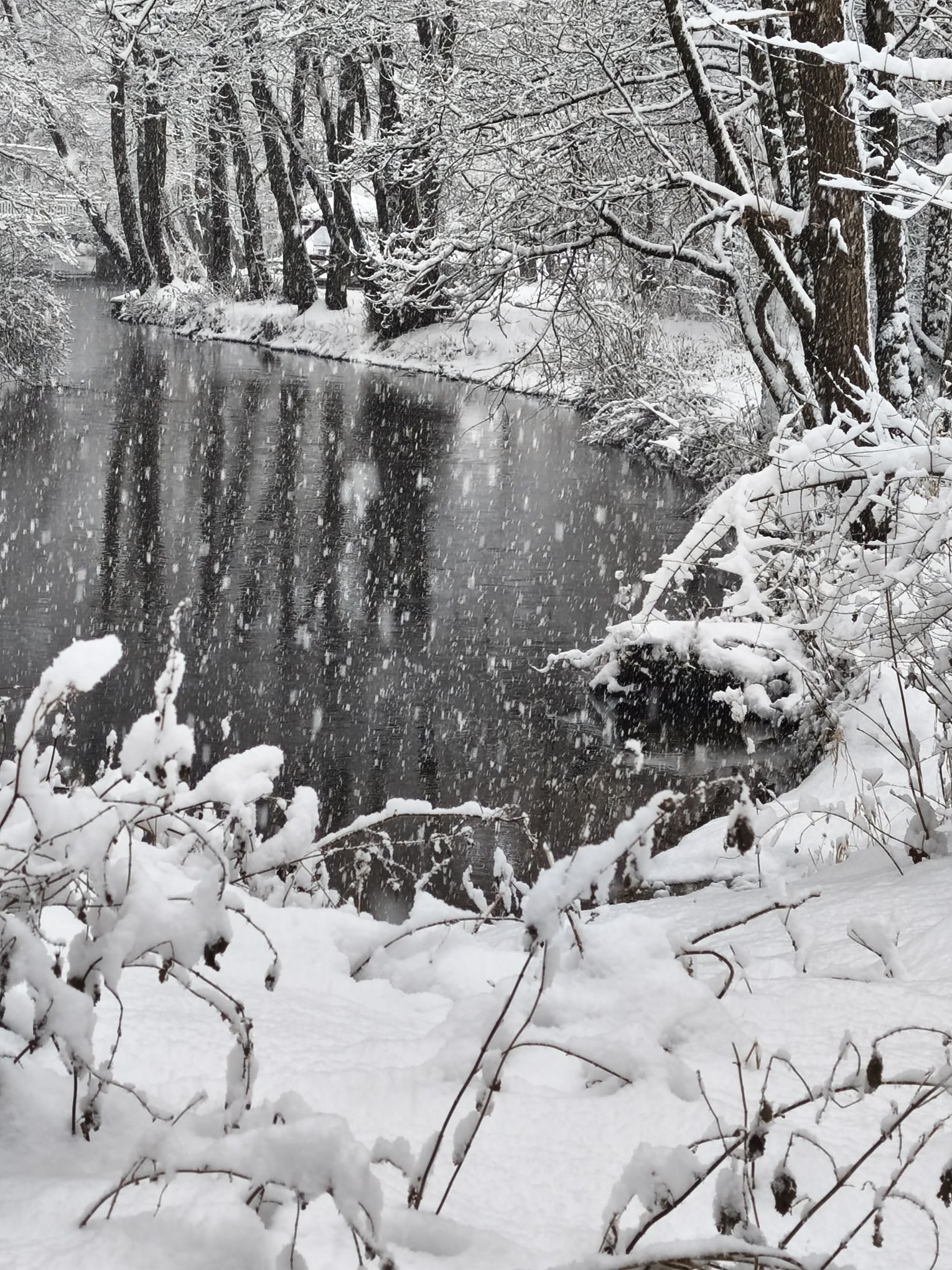 fot. Ewelina Sikora.jpg