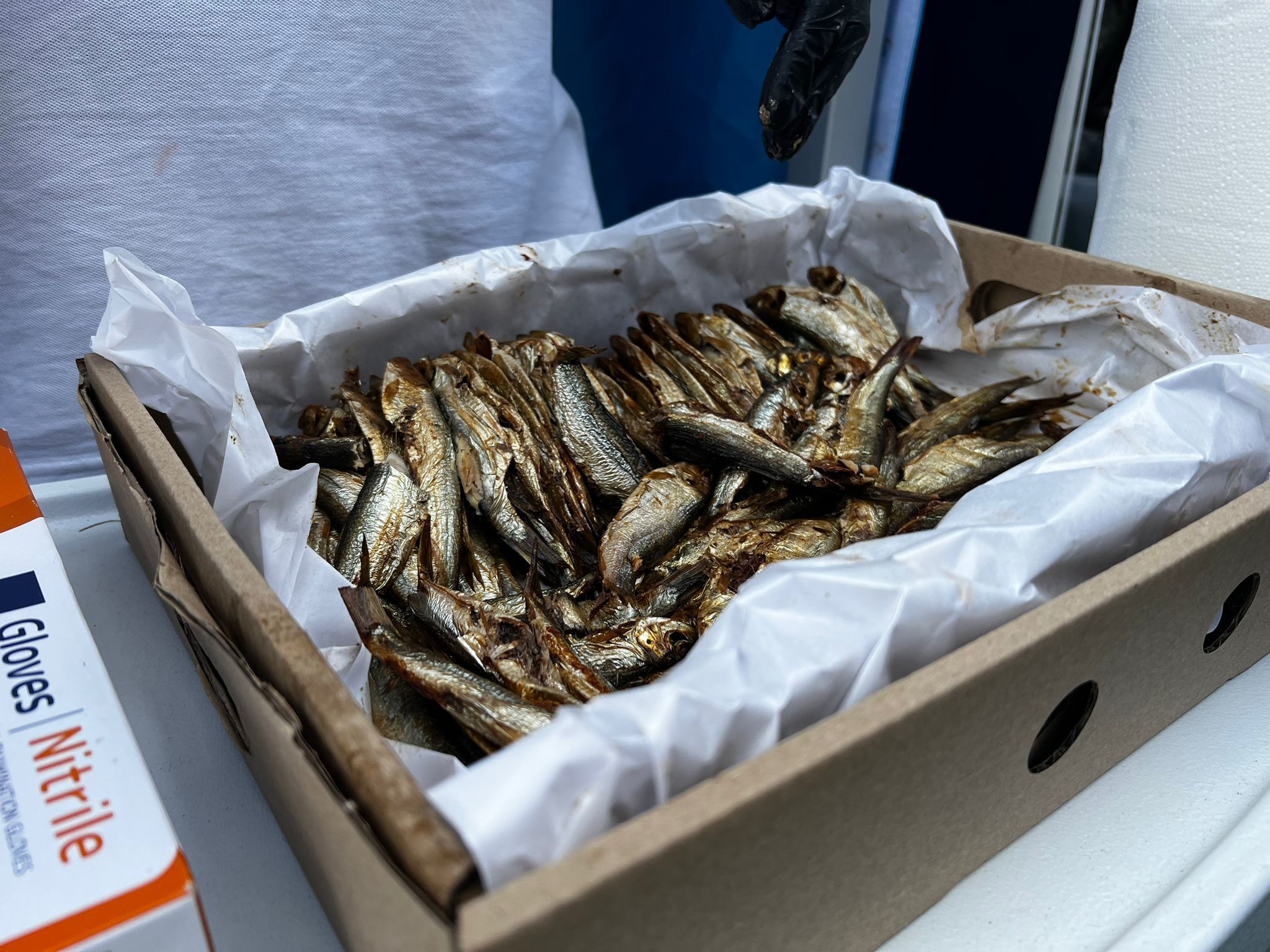 źródło: Twoja Telewizja Morska/fot. Michał Jarosz