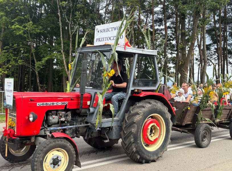 Zdjęcie: czytelniczka