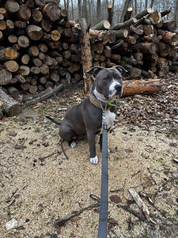 fot. Patrycja Górska