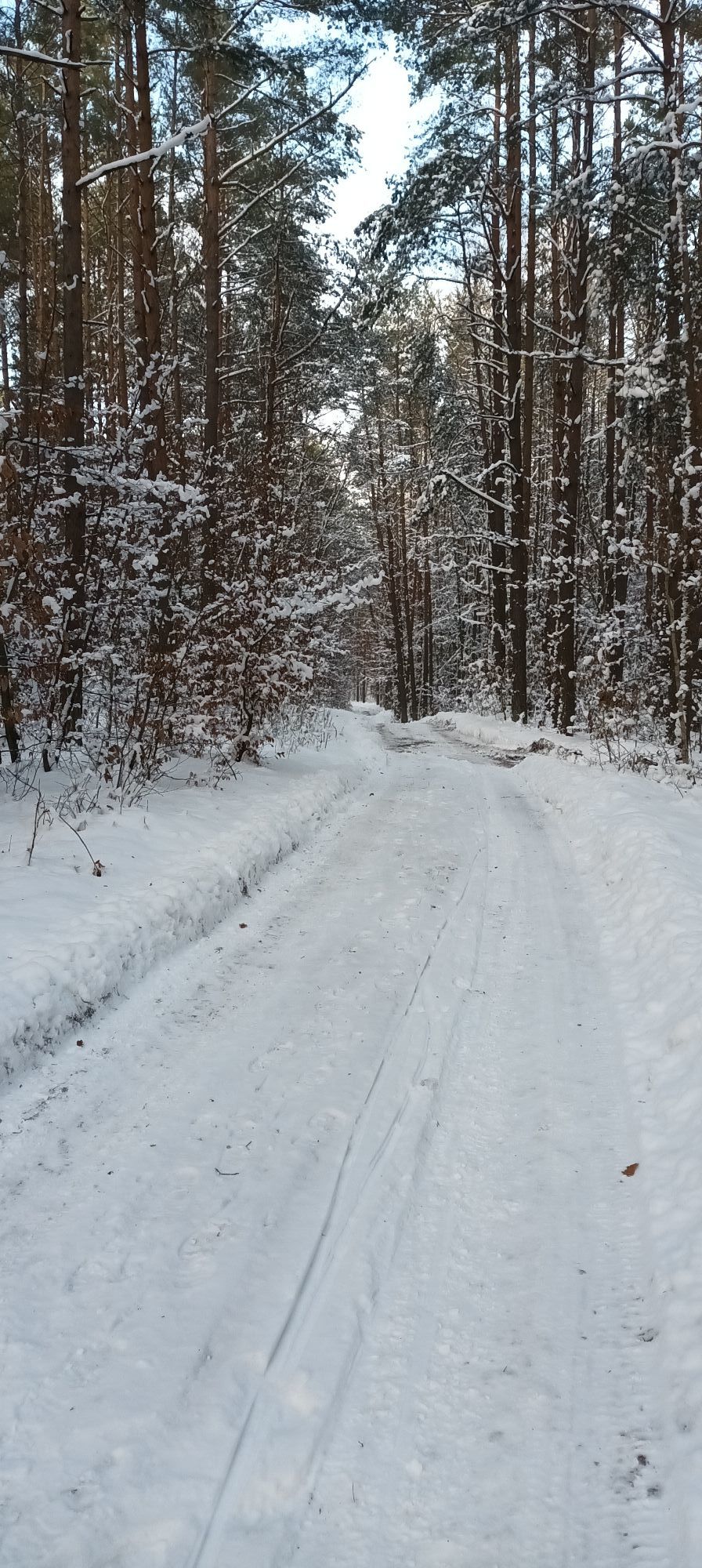 Zdjęcie: Lucyna Kwiatkowska