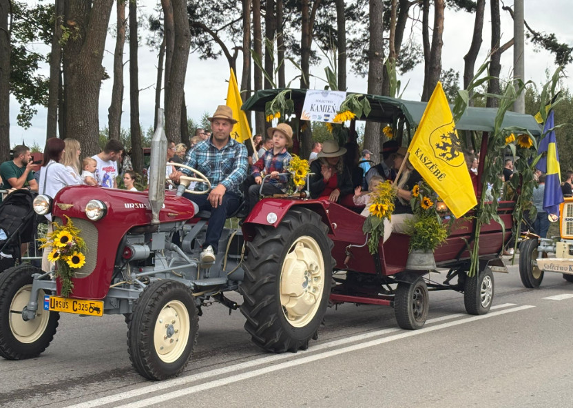 Zdjęcie: czytelniczka