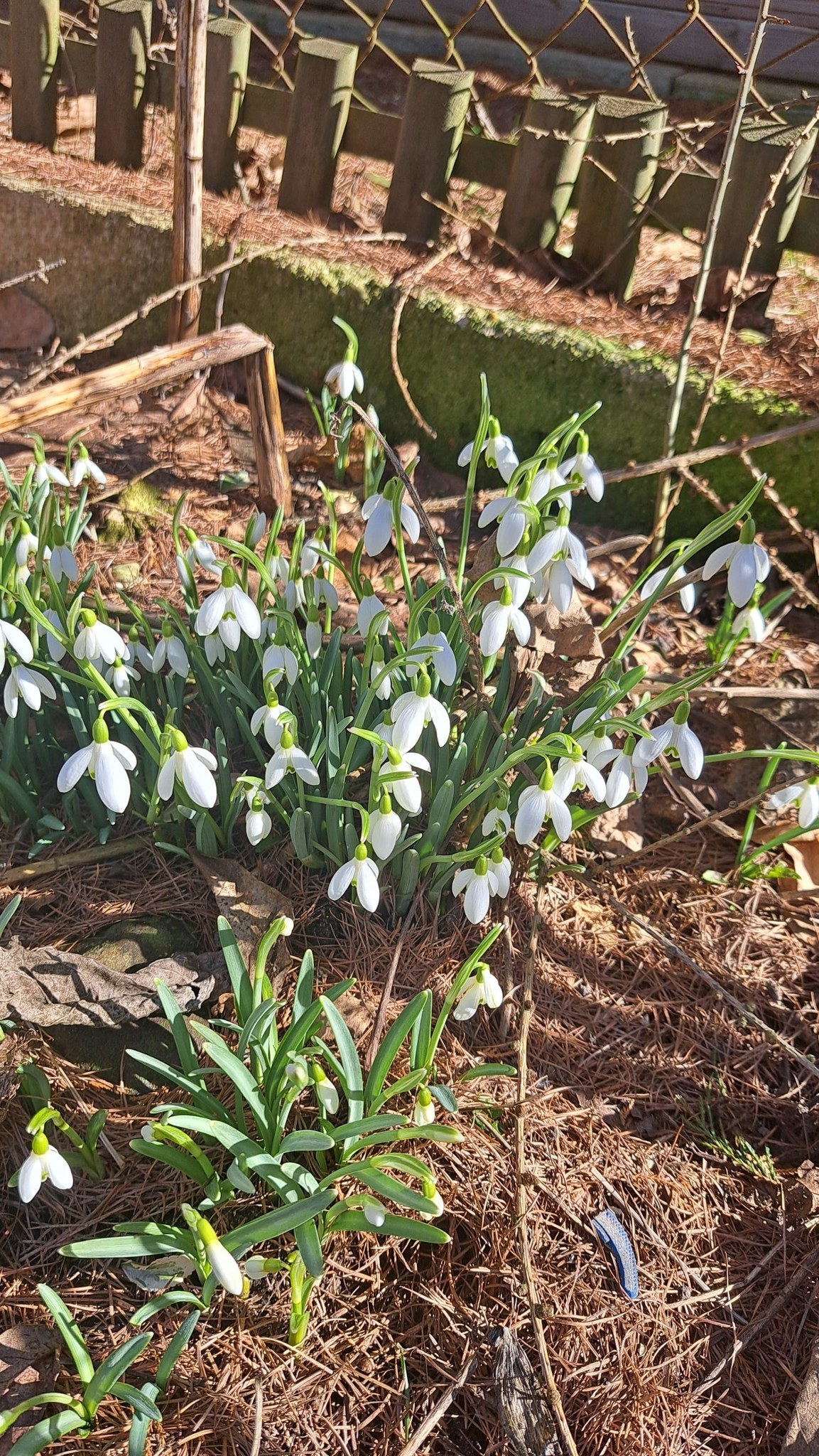 Zdjęcie: Anna Zielke Wittkamp