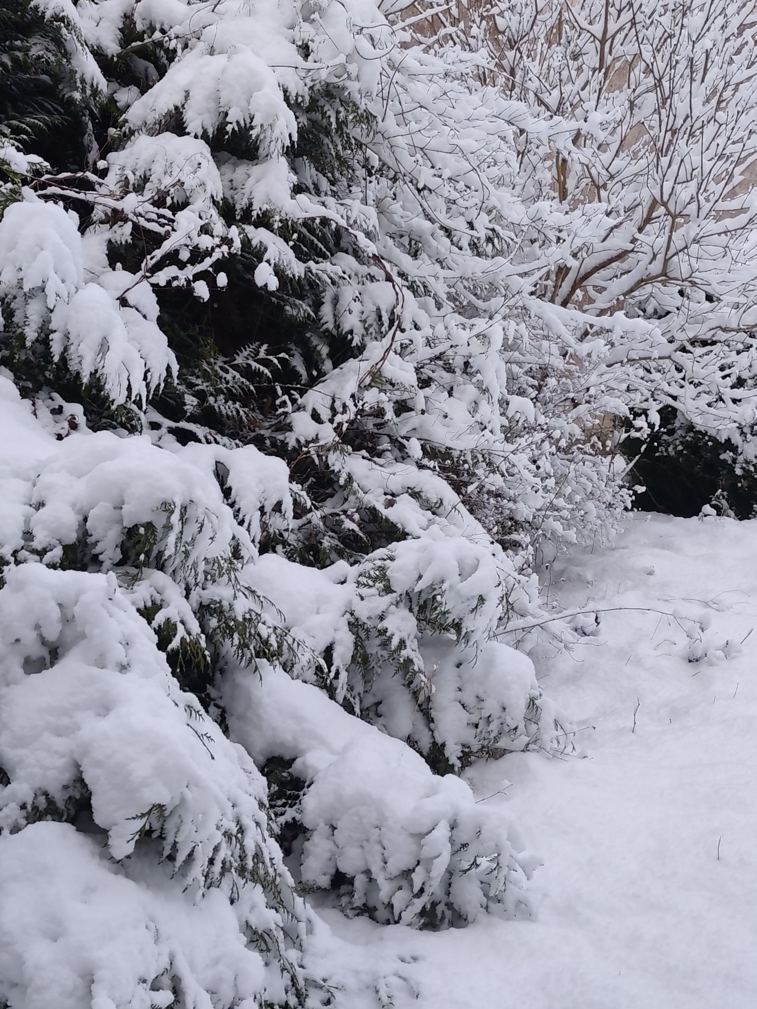 okolice Choczewa fot. Zdzisława Zięba.jpg