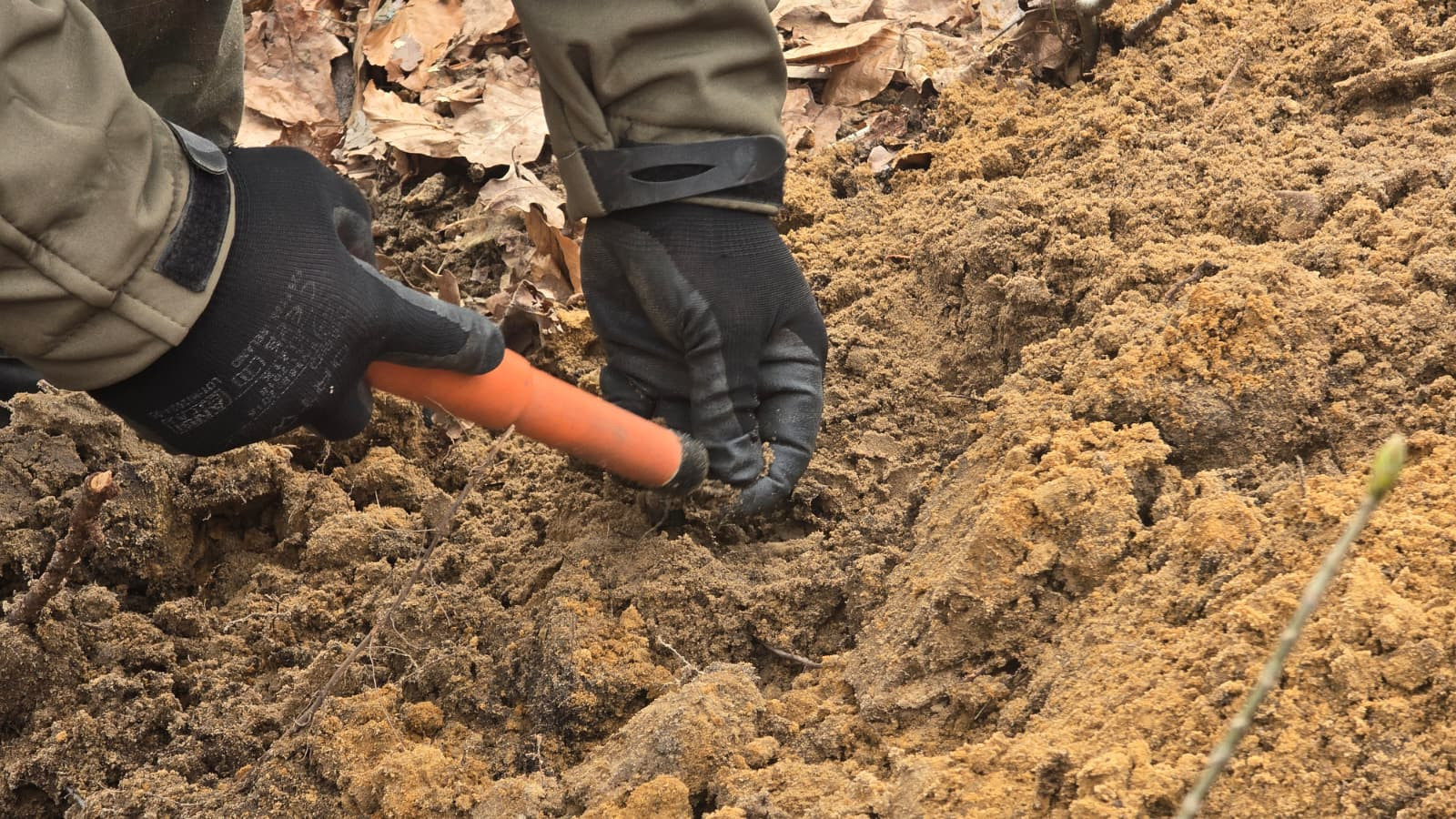 źródło: Twoja Telewizja Morska/fot. M. Weltrowski