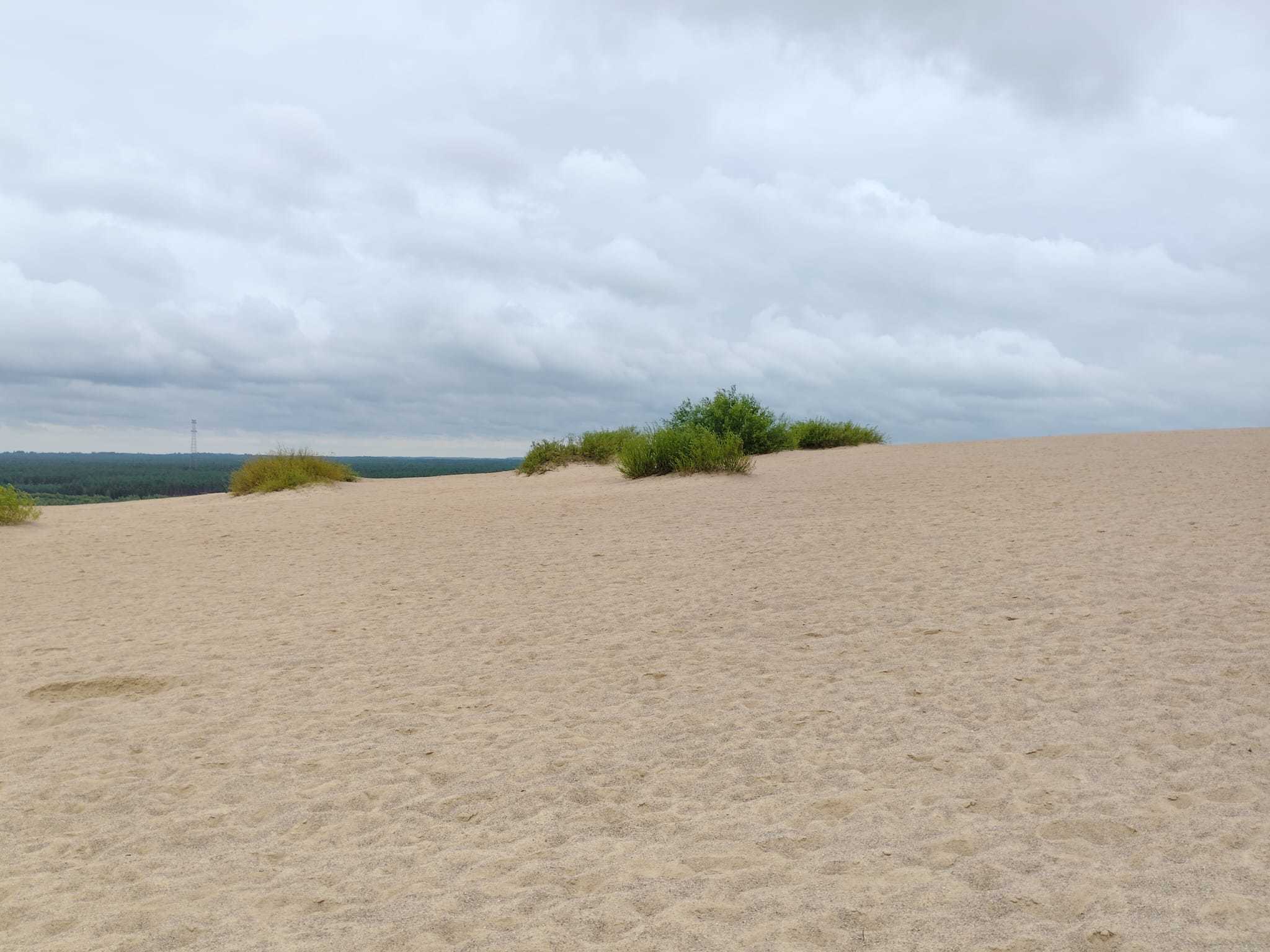 źródło: Nadmorski24.pl