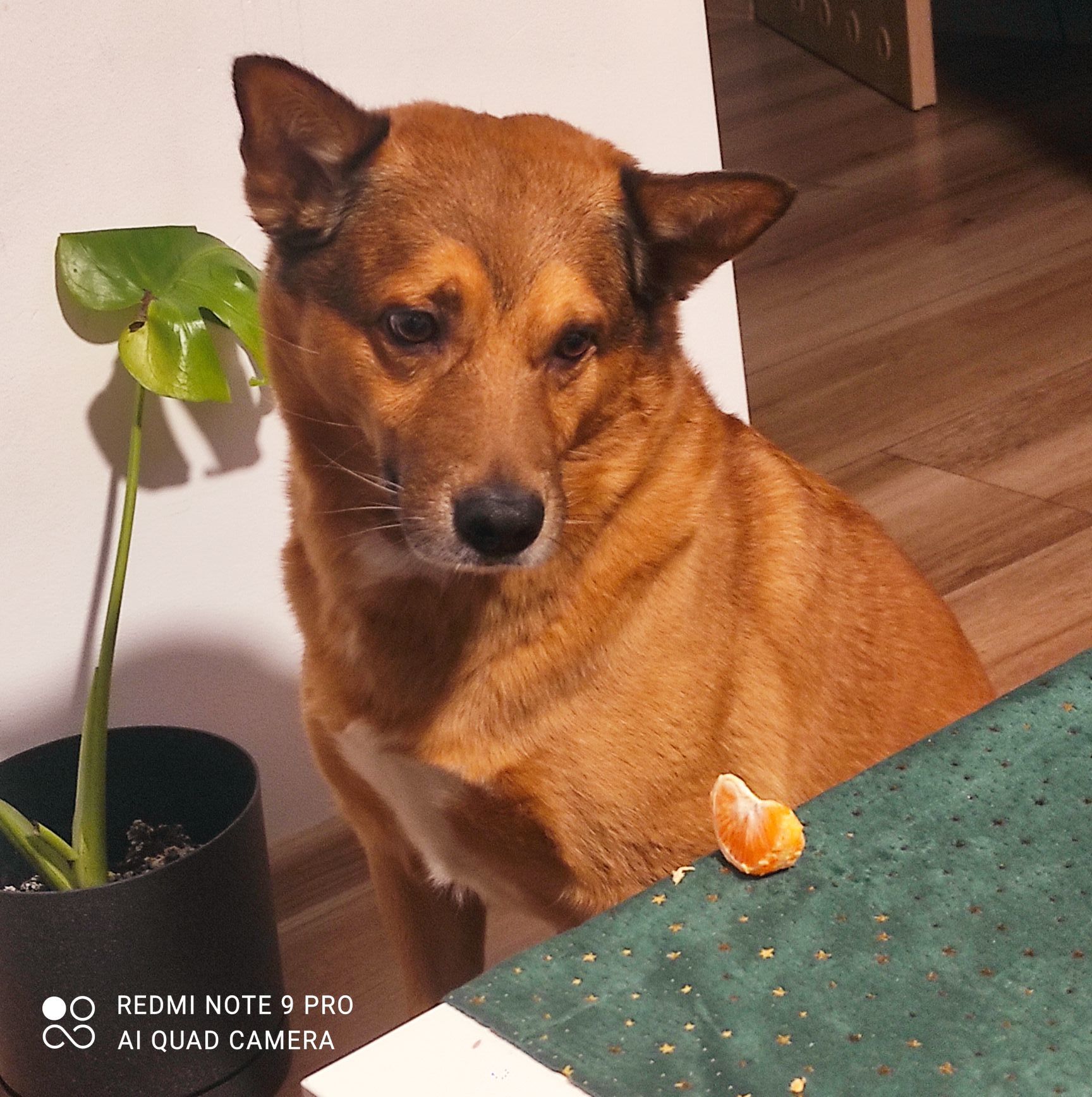 fot. Magdalena Oleszek