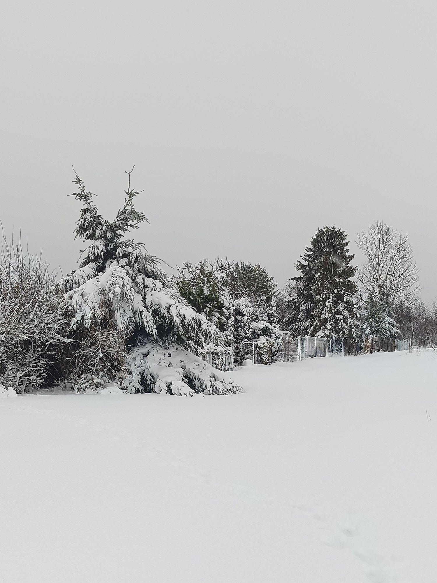 fot. Maria Stefanska.jpg