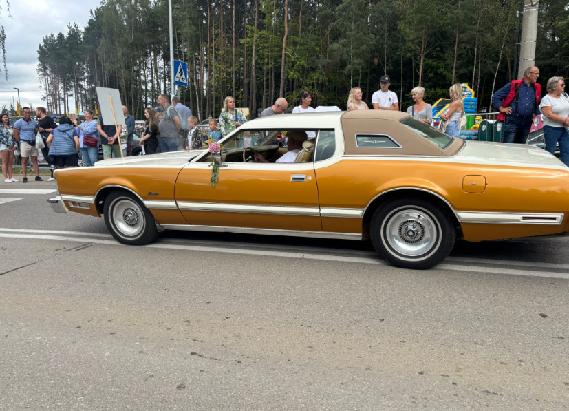 Zdjęcie: czytelniczka