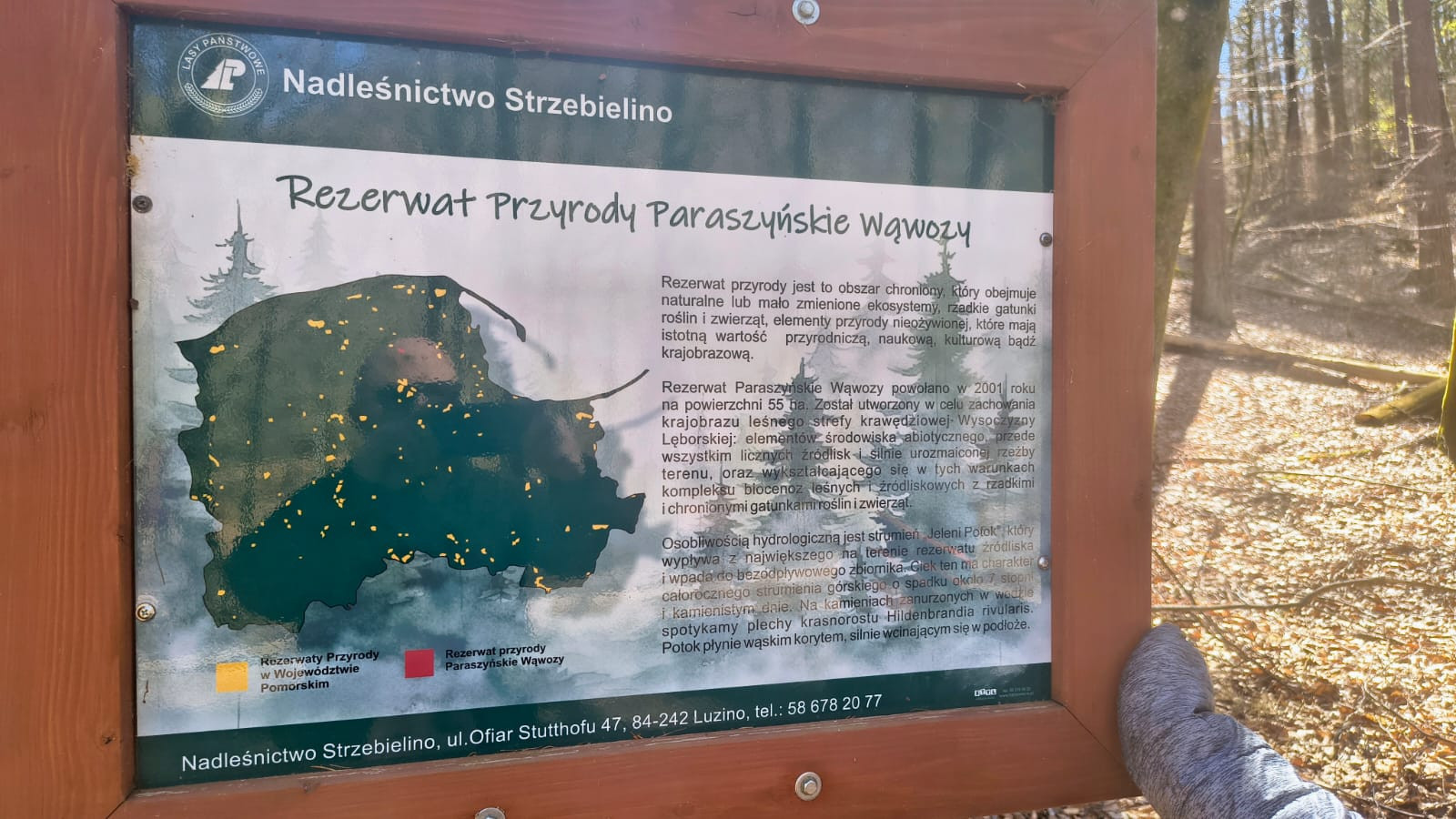źródło: Nadmorski24.pl