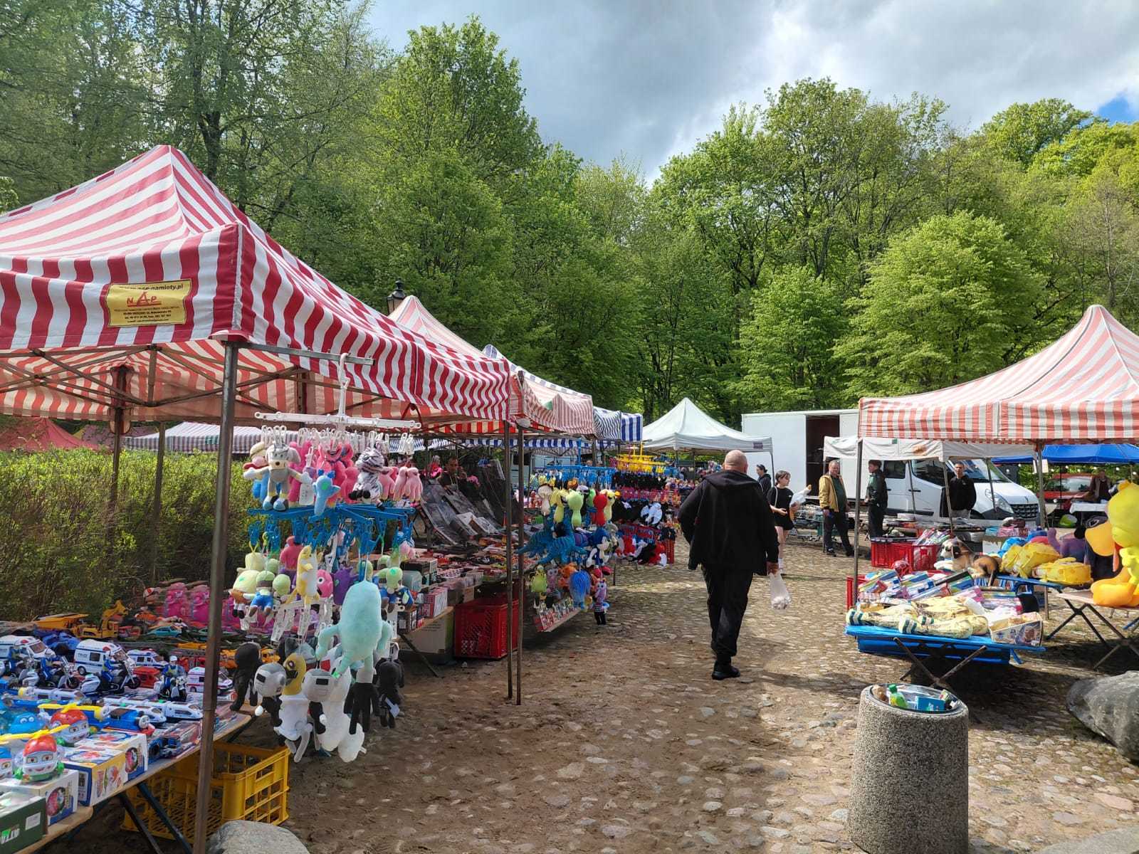 Zdjęcia: TTM