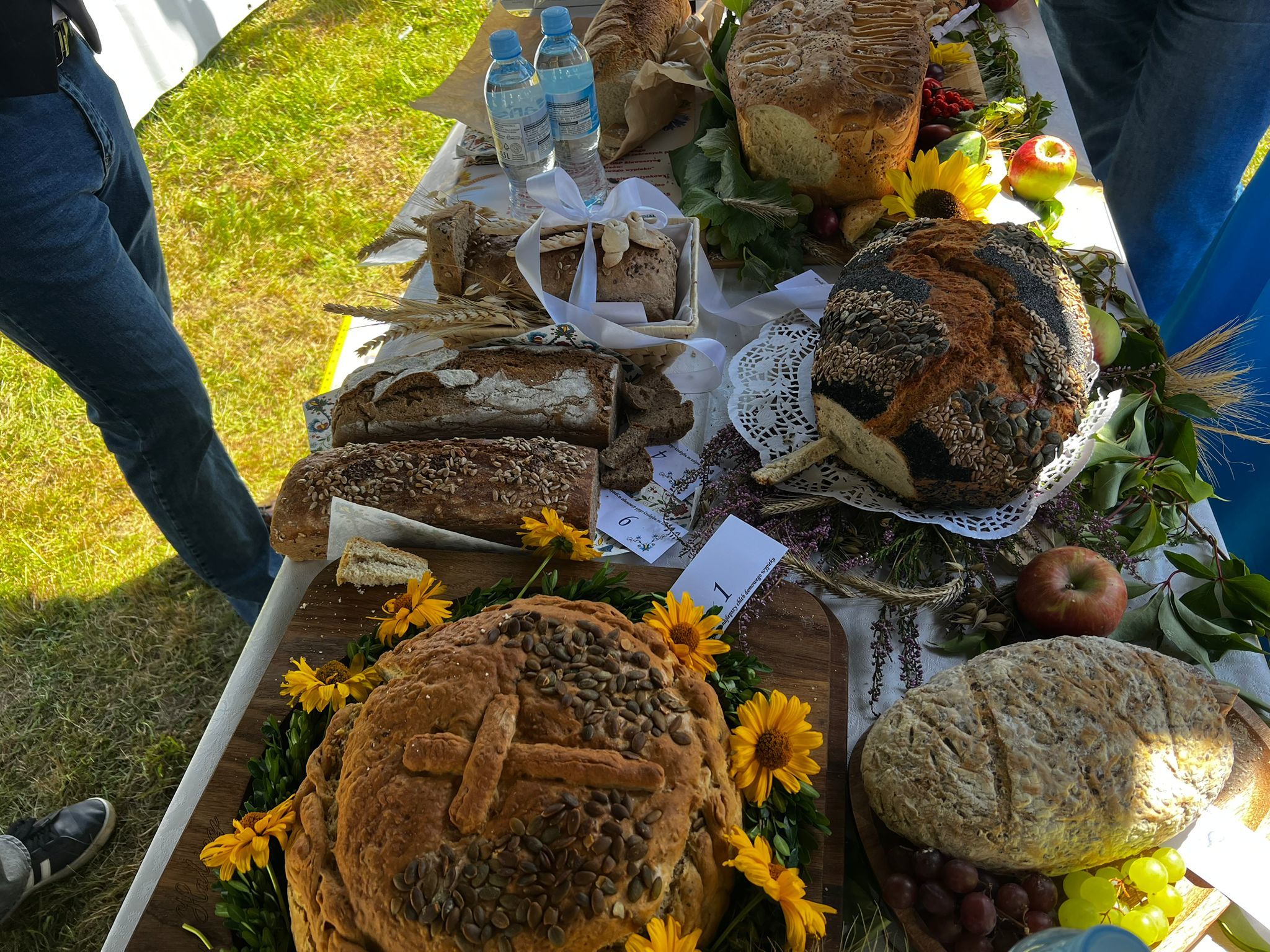 źródło: Twoja Telewizja Morska/fot. Michał Jarosz