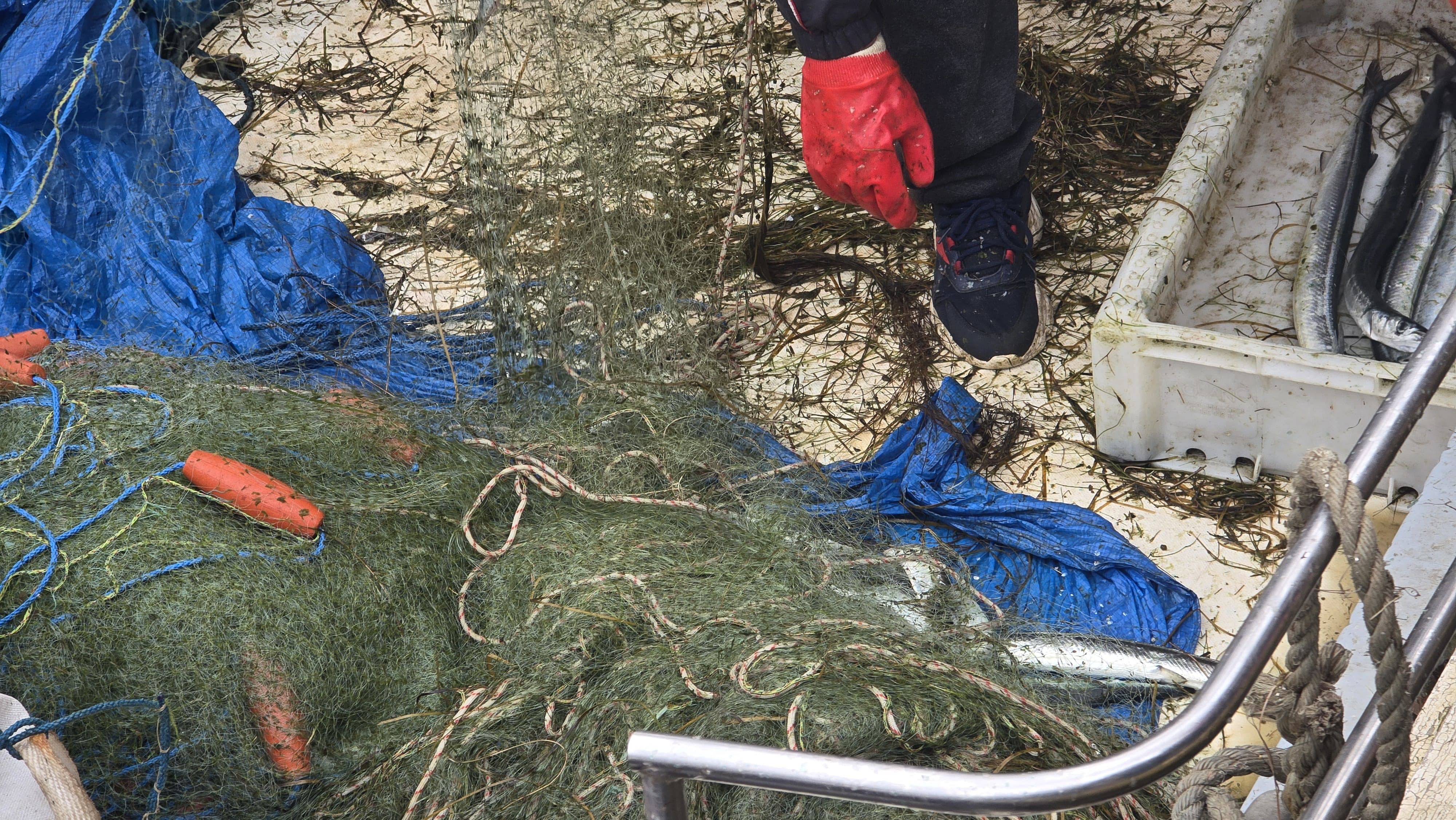 Fot. Mieszko Weltrowski/TTM