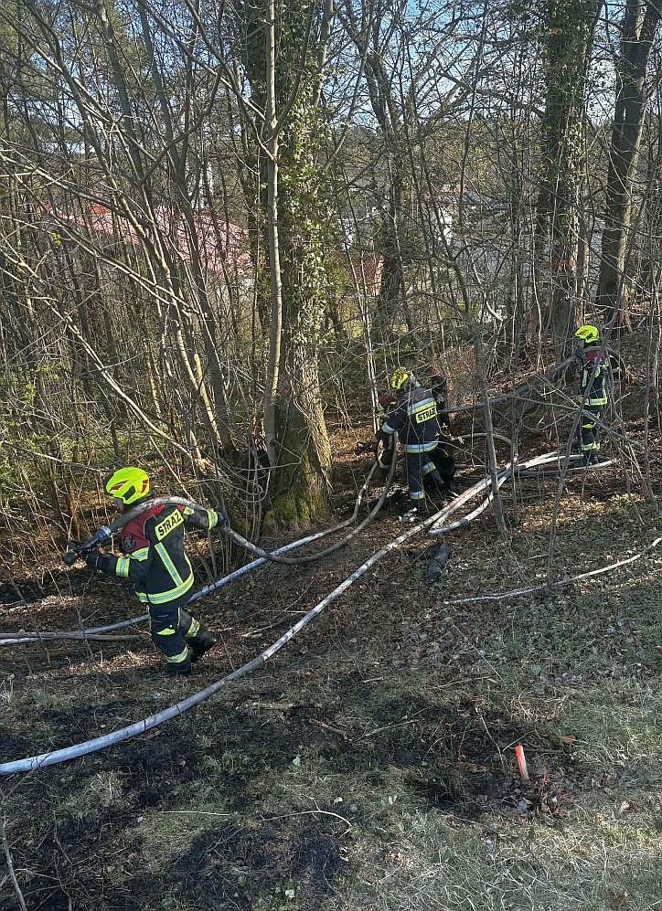 Fot. Choczewo24.info