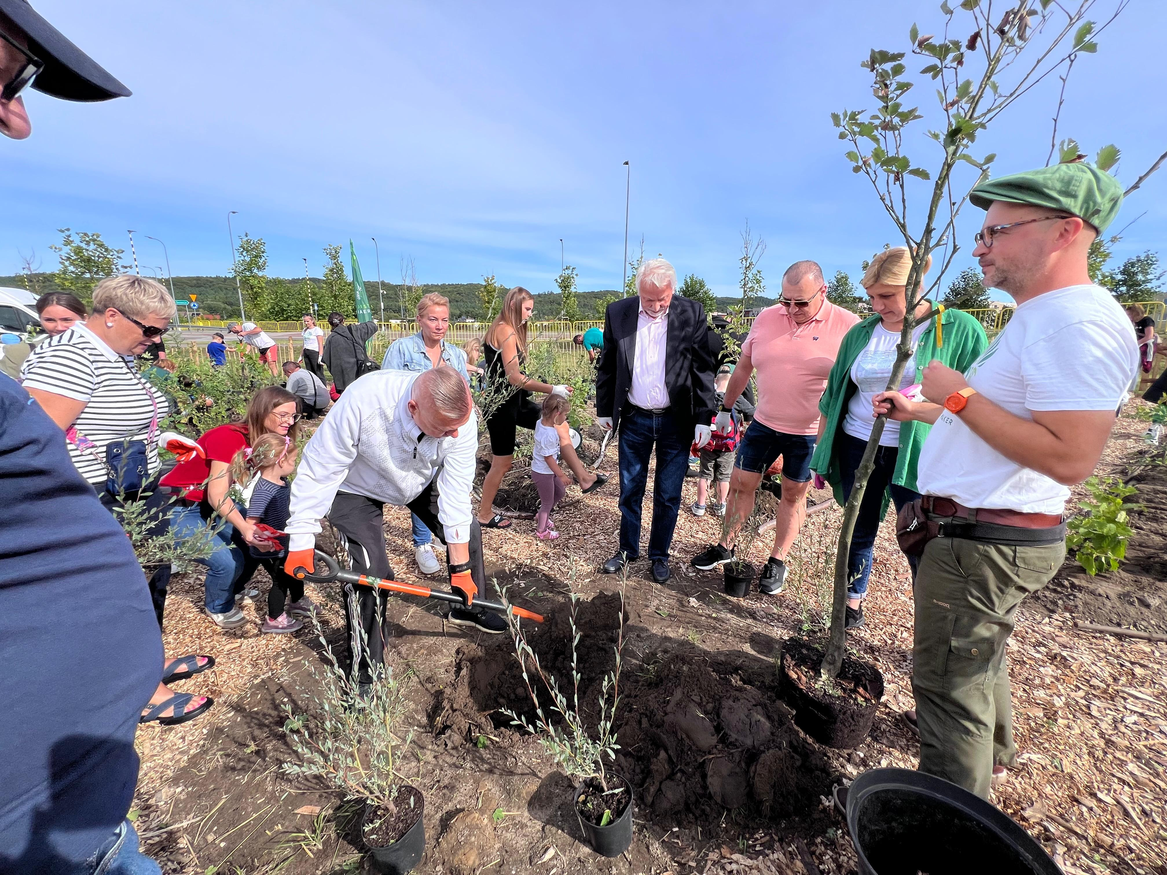 źródło: Twoja Telewizja Morska