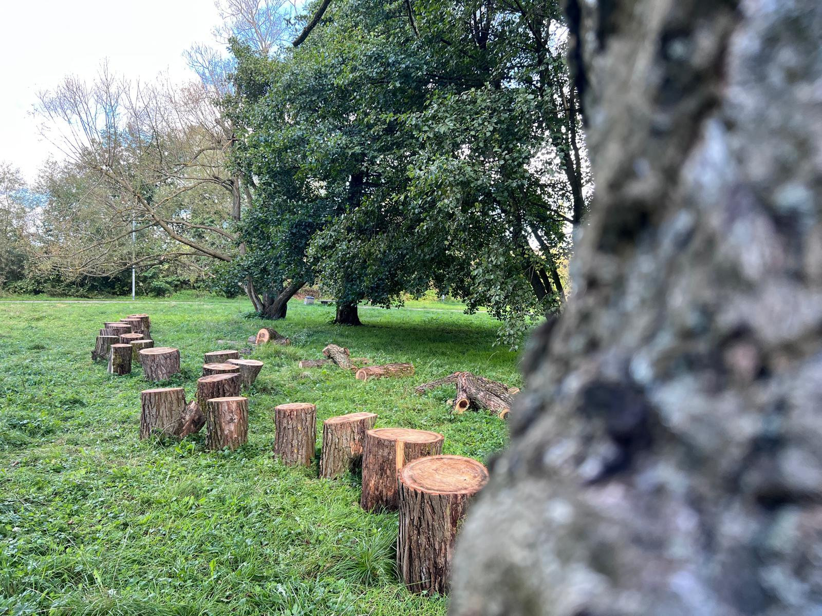 źródło: Twoja Telewizja Morska/fot. Mieszko Weltrowski