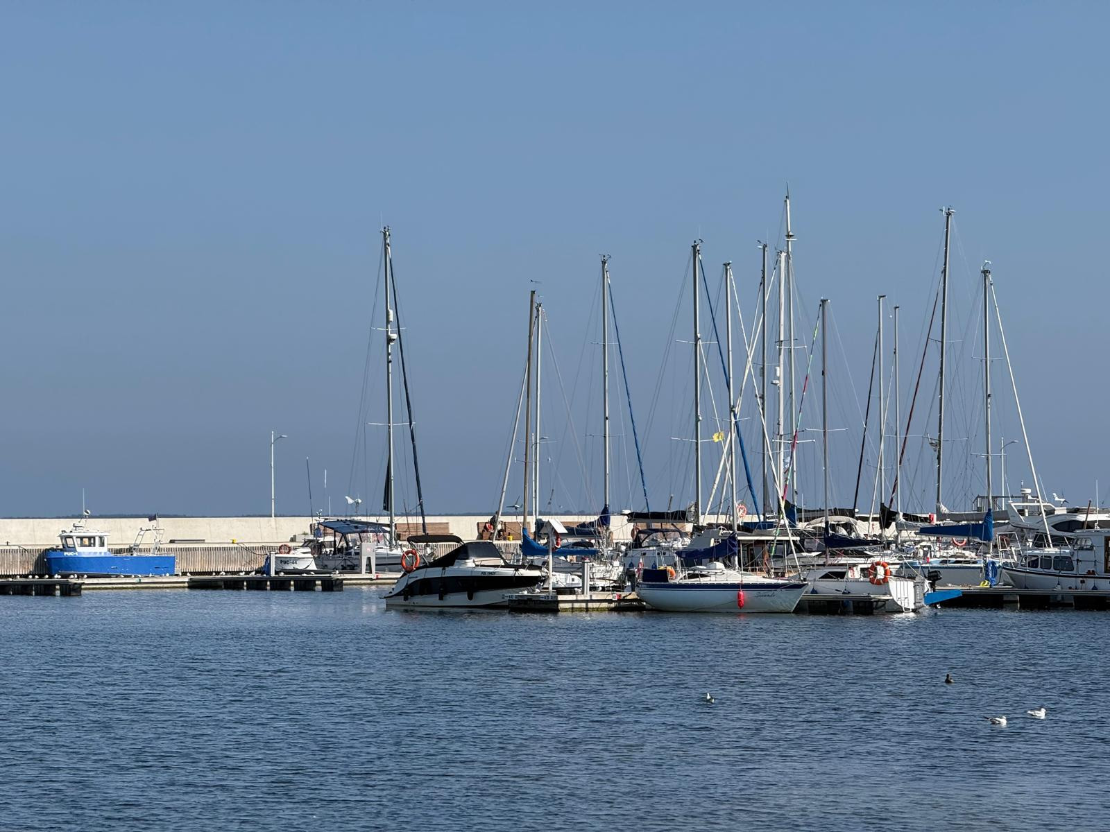 źródło: Twoja Telewizja Morska/Karina Trybańska