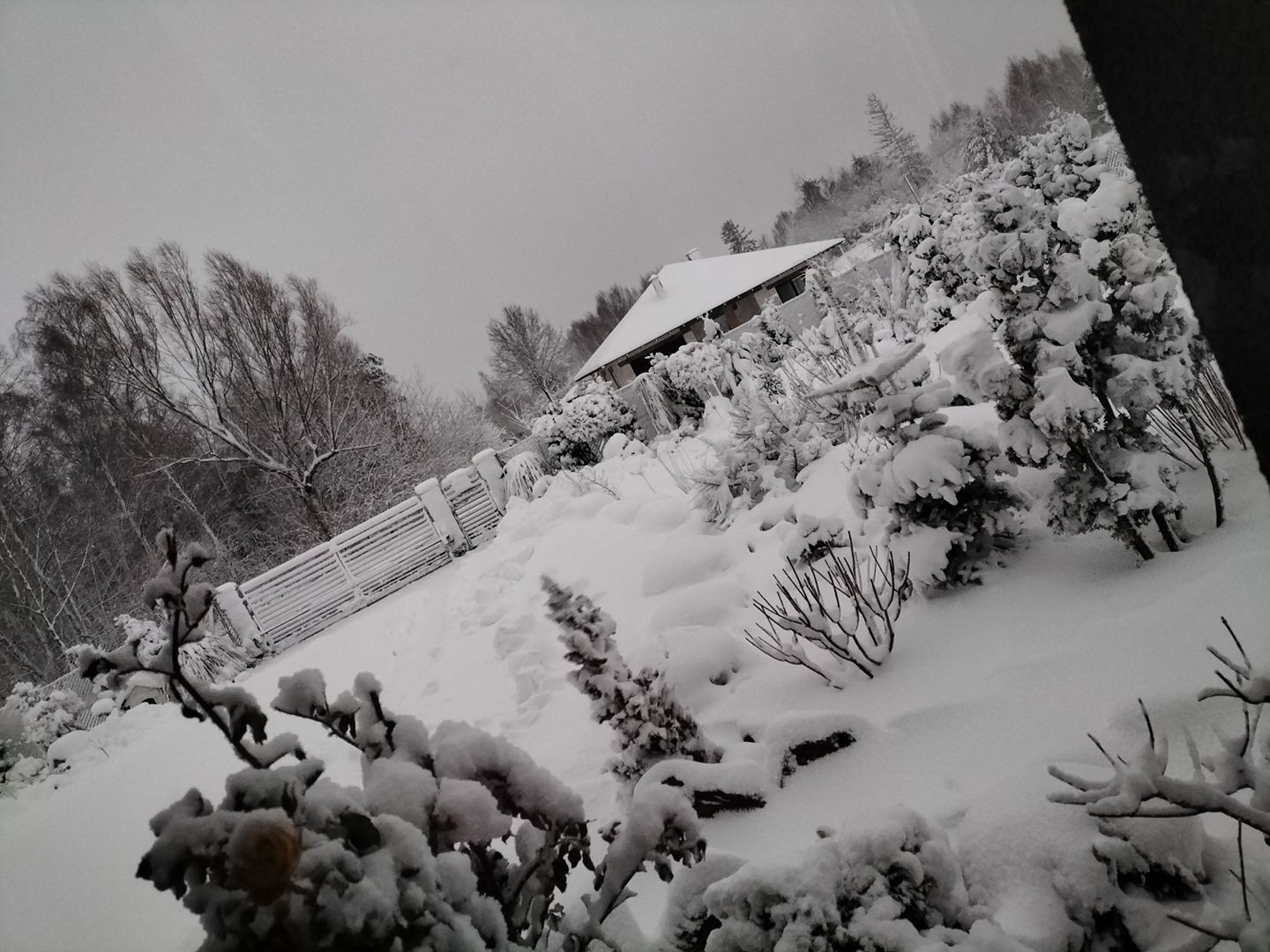 fot. Ewelina Świątek.jpg