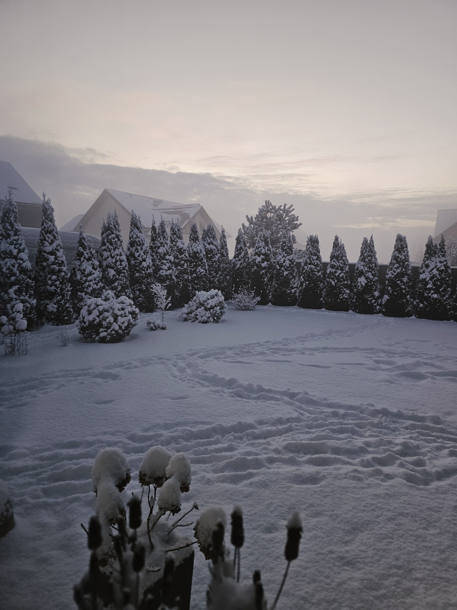 fot. Ewa Hallmann.jpg