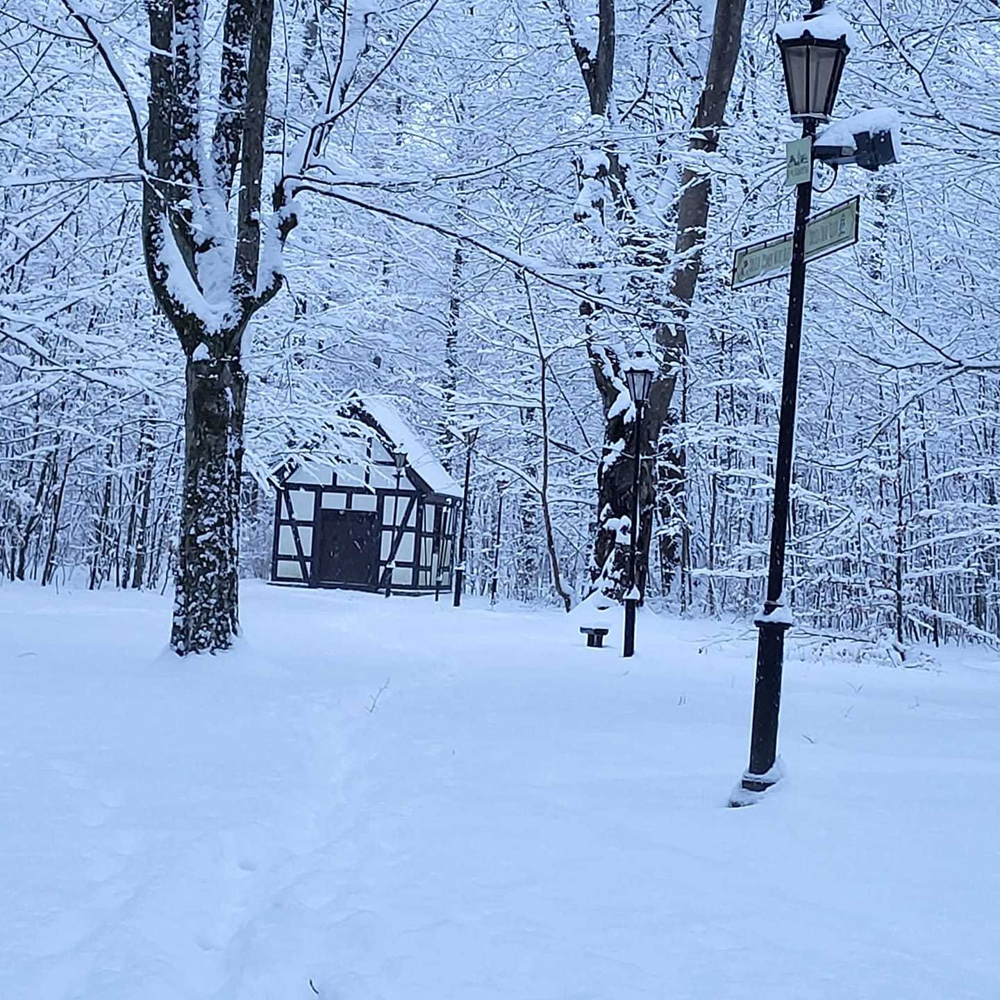 fot. Krystyna Bojke.jpg