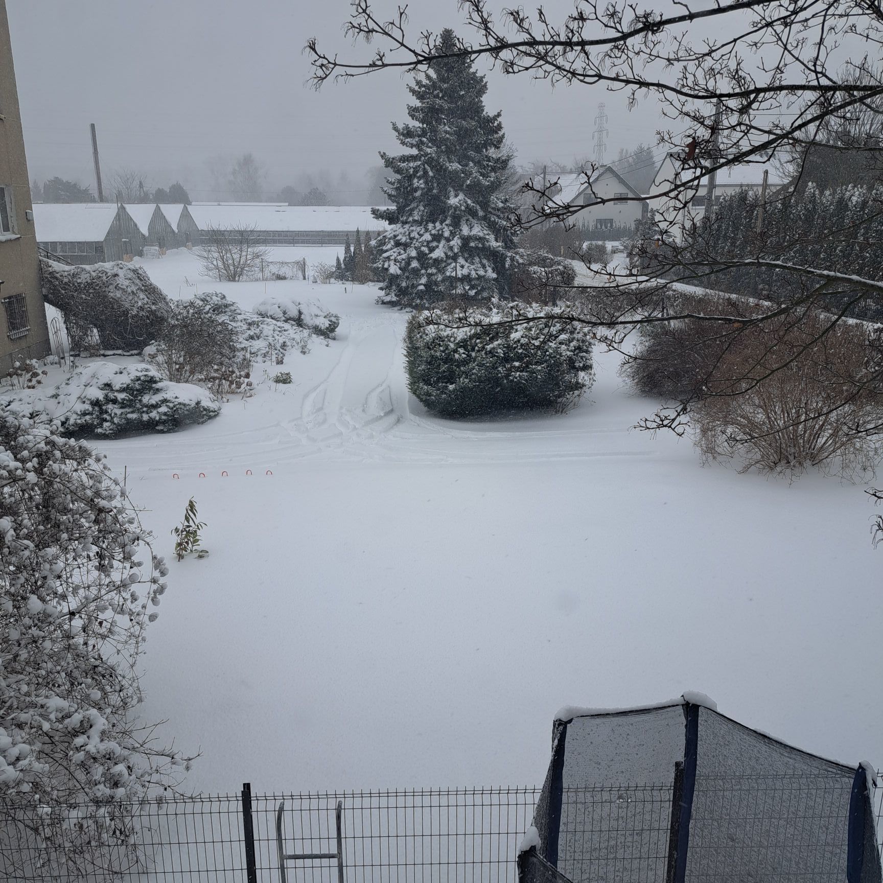 Zdjęcie: Aleksandra Czerwonko