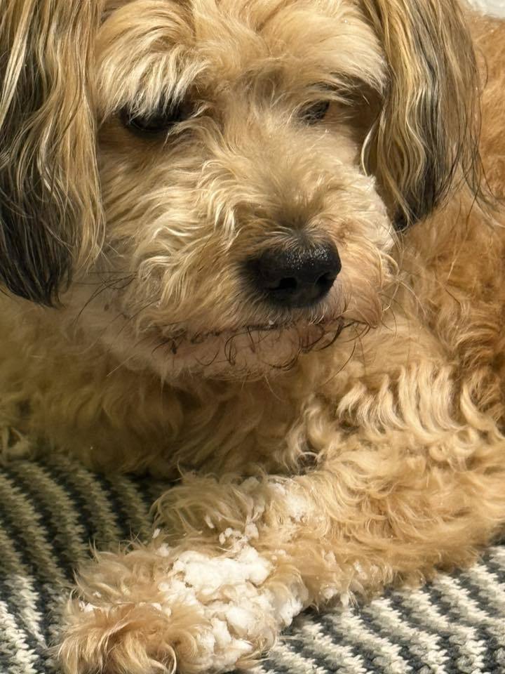 fot. Sylwia Kulińska