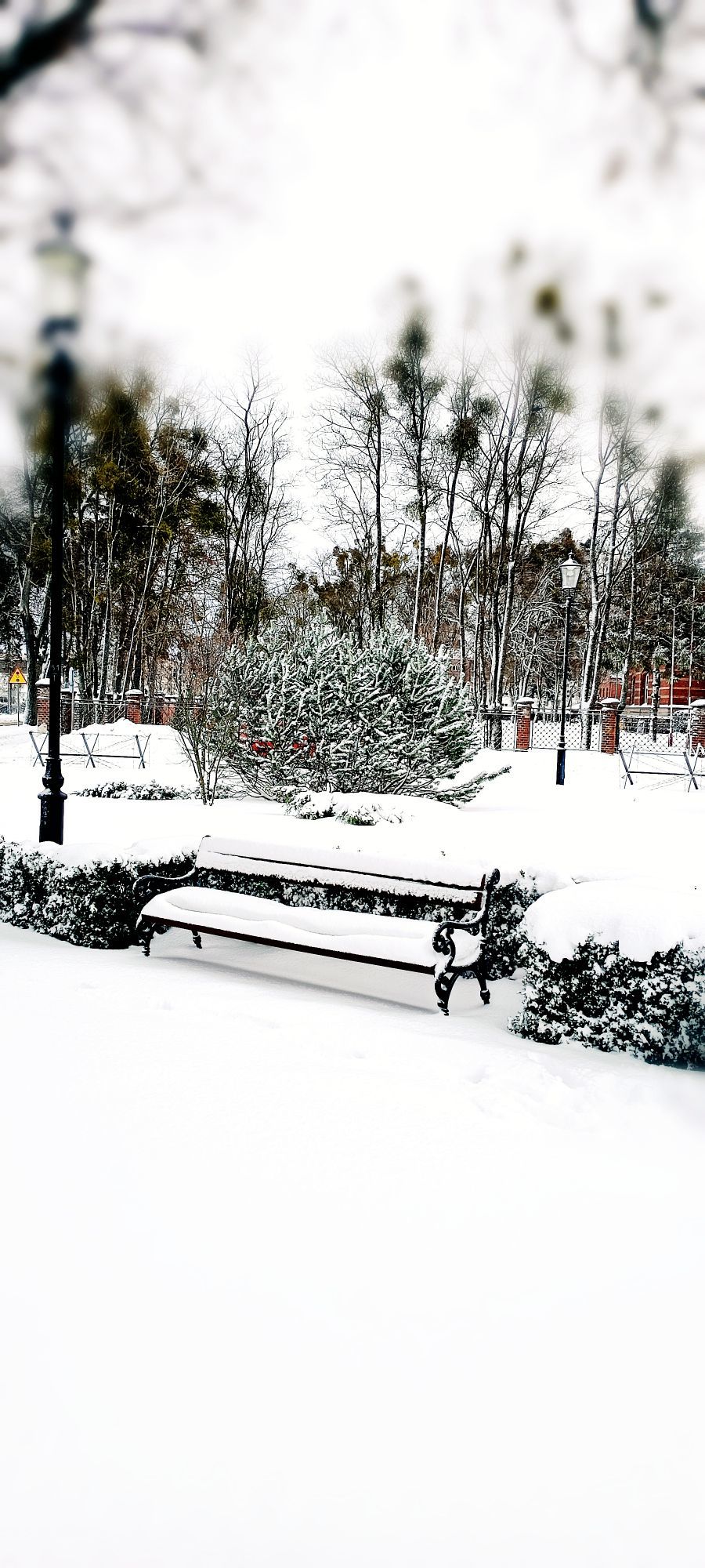 Zdjęcie: Basia Kobiella