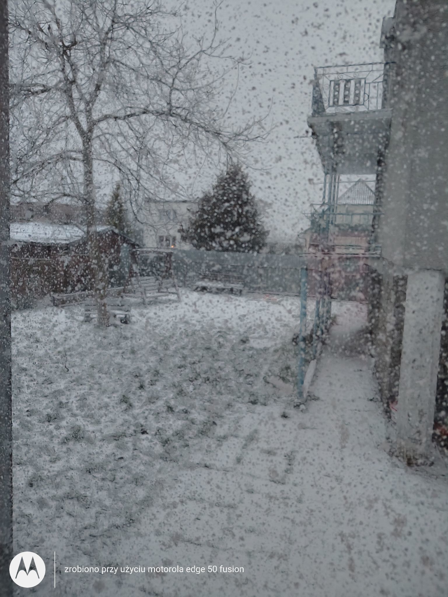 fot. Joanna Korejke.jpg