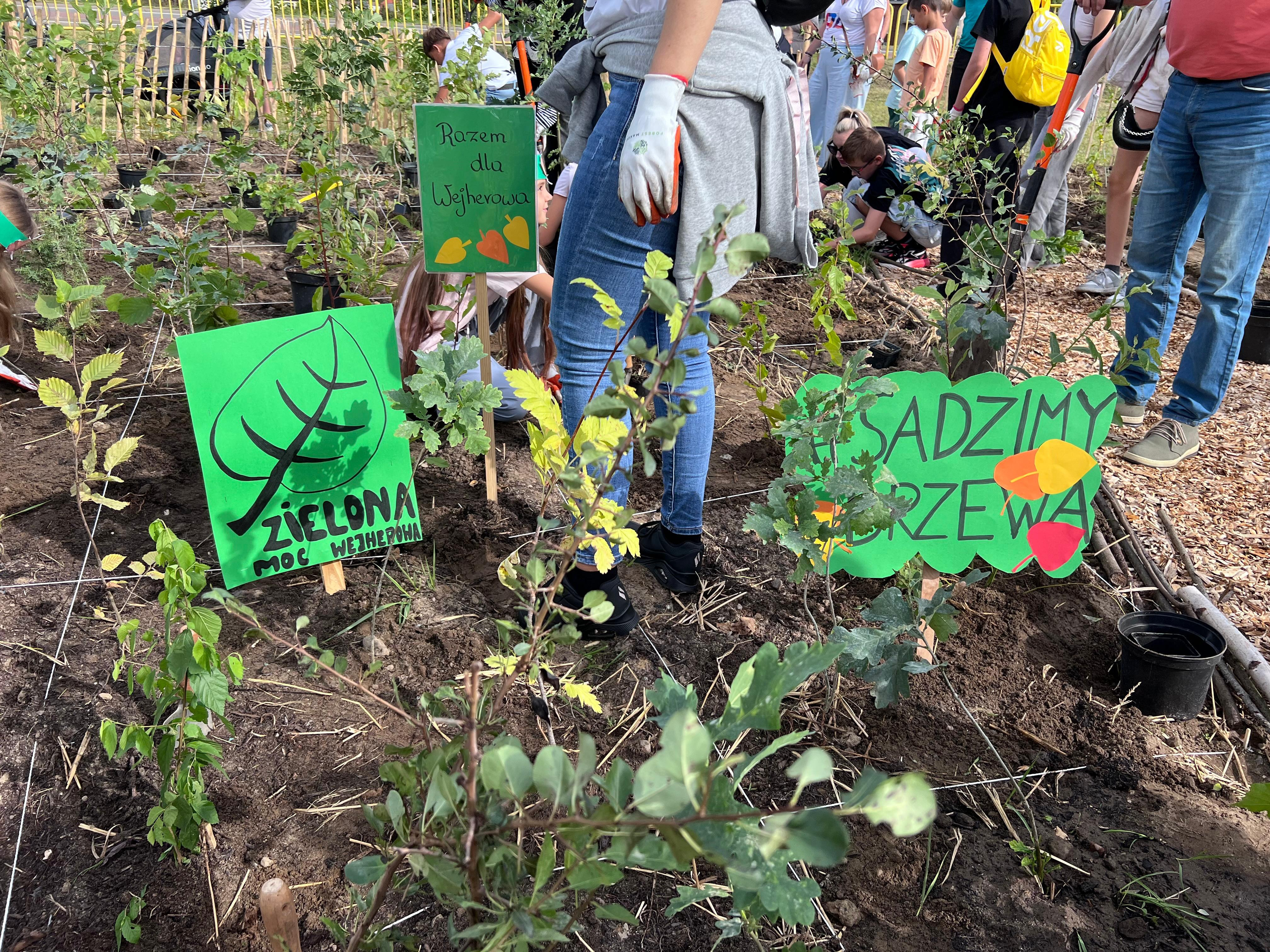 źródło: Twoja Telewizja Morska