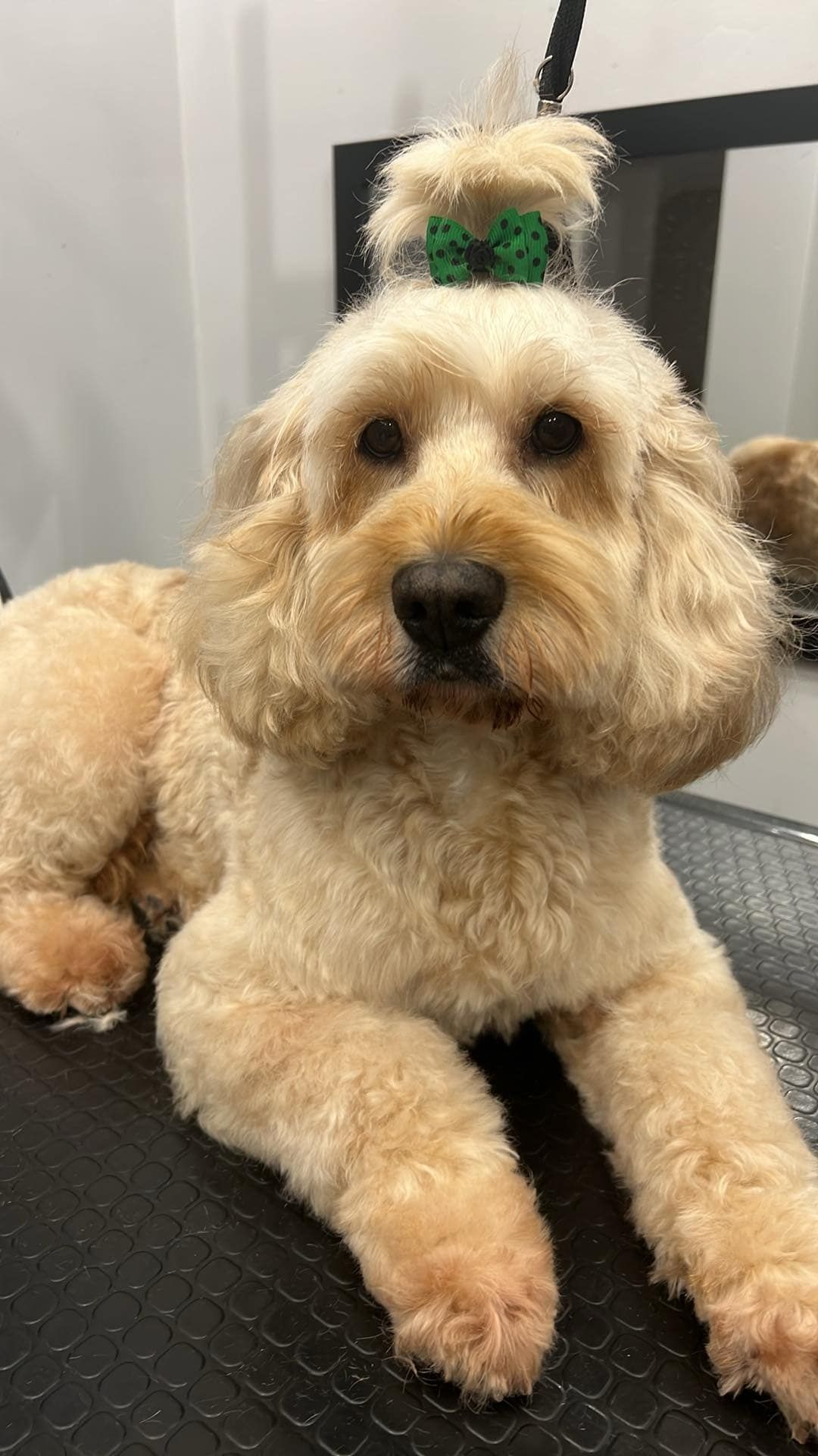 fot. Maciej Soczewiński