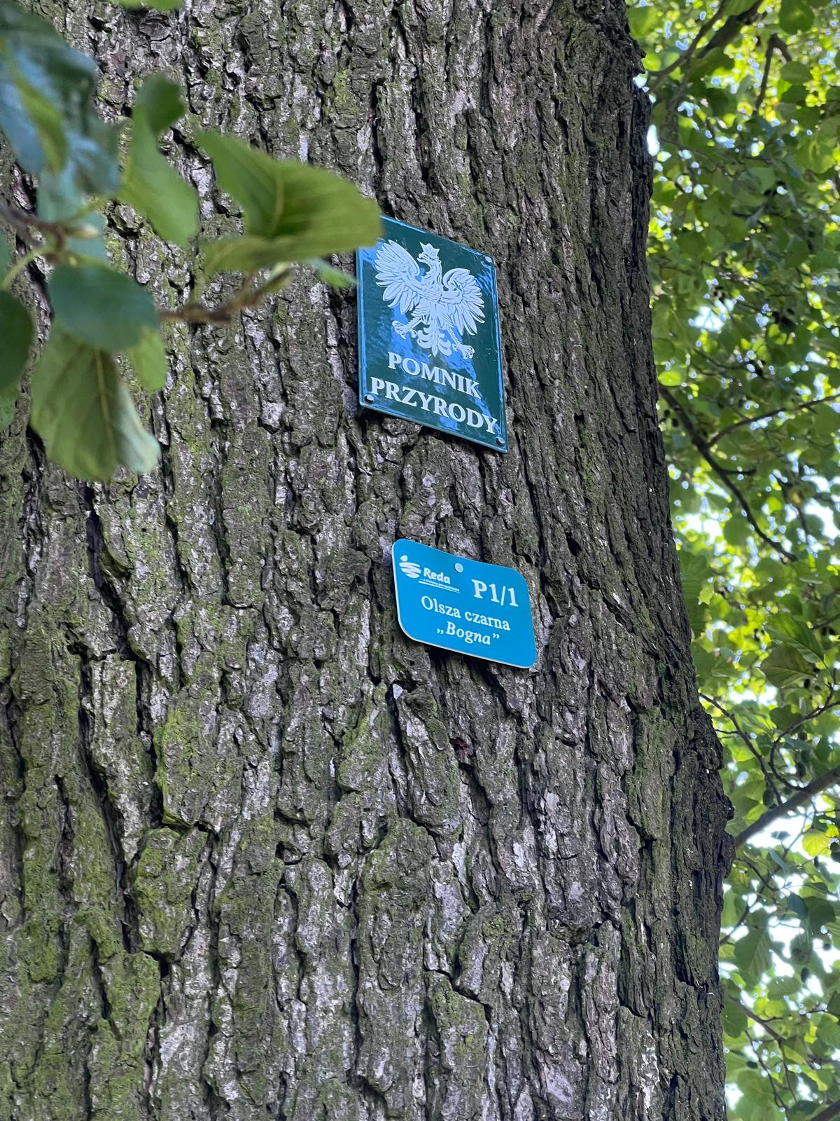 źródło: Twoja Telewizja Morska/fot. Mieszko Weltrowski