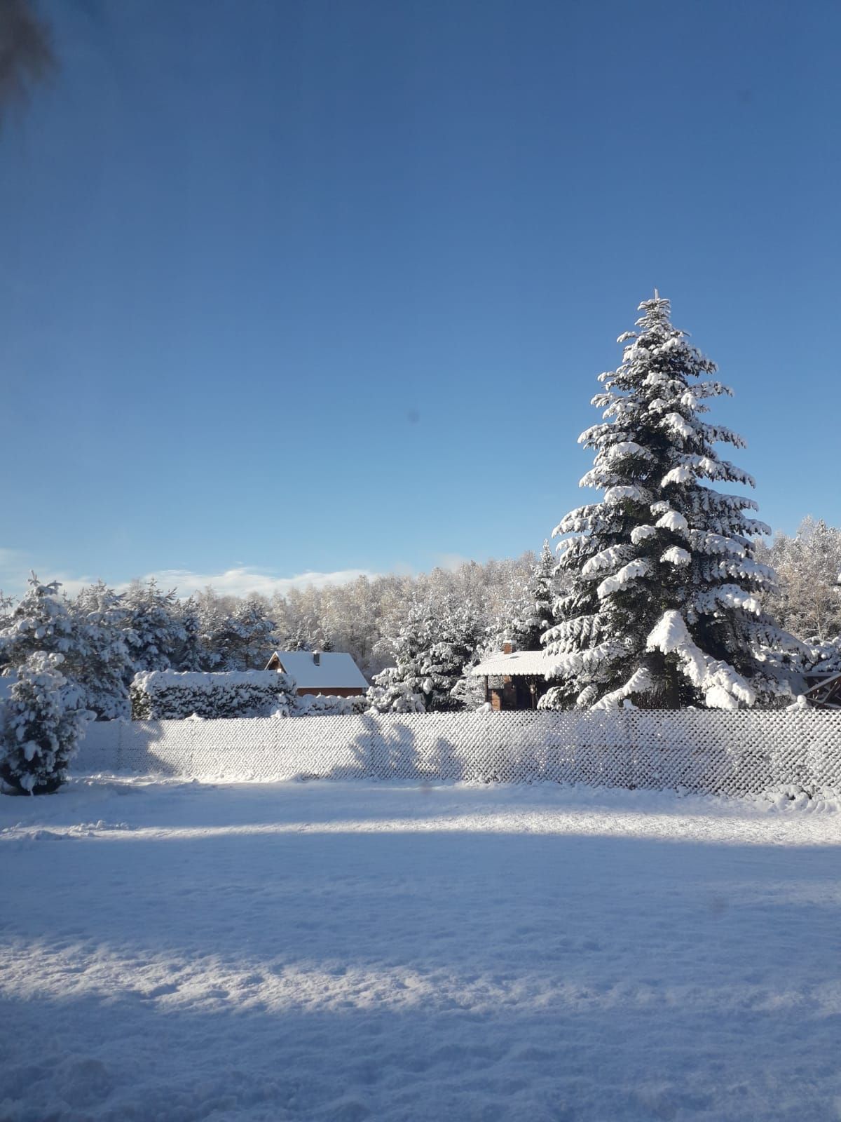 fot. Wioletta Czajka.jpg