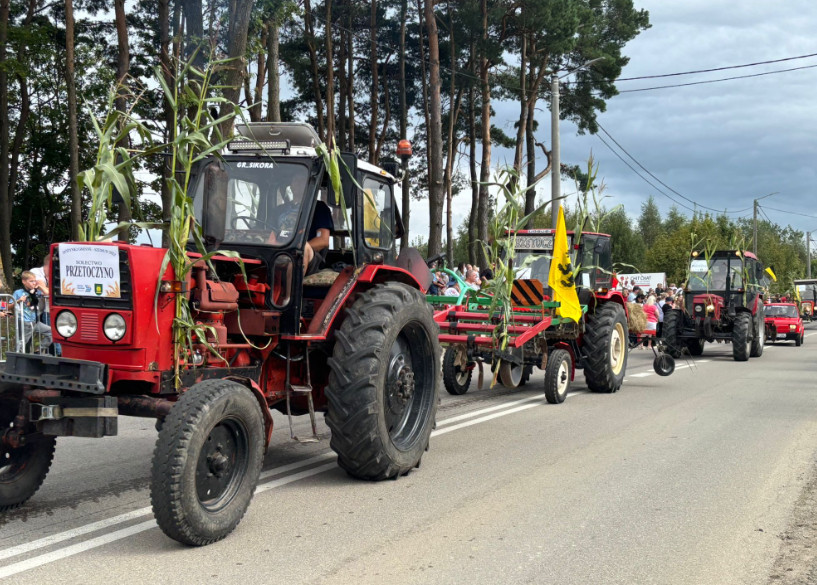 Zdjęcie: czytelniczka