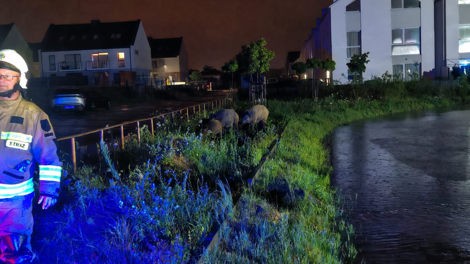 Fot. PSP w Pucku/OSP Leśniewo