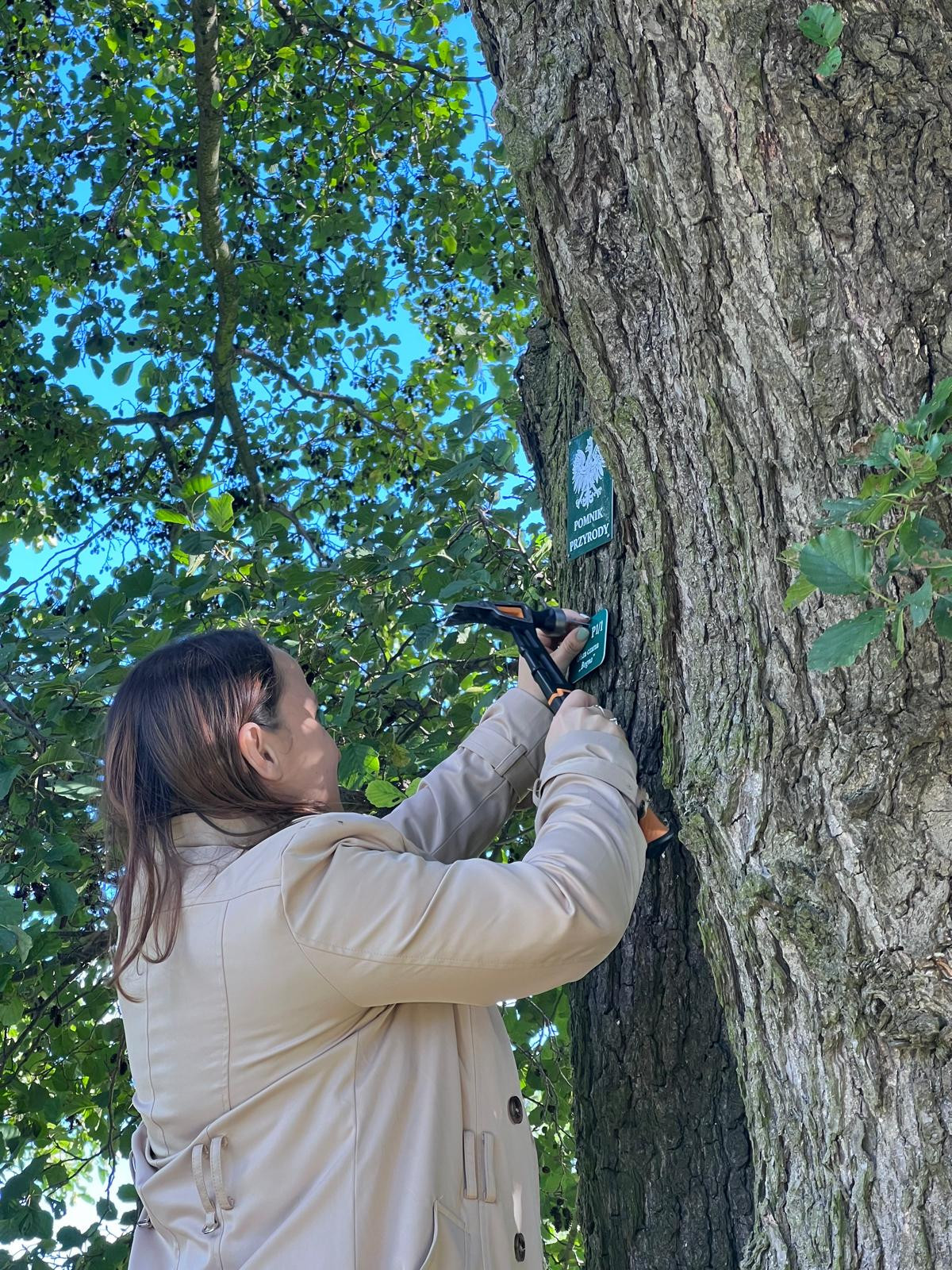 źródło: Twoja Telewizja Morska/fot. Mieszko Weltrowski