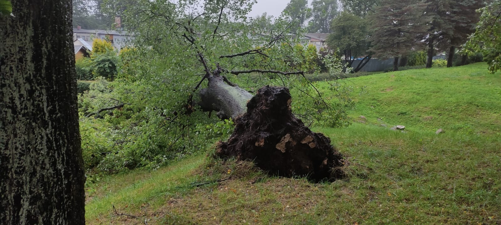 Fot. PSP w Pucku/OSP Leśniewo
