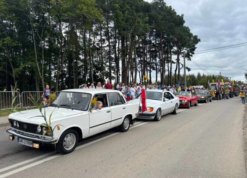 Zdjęcie: czytelniczka