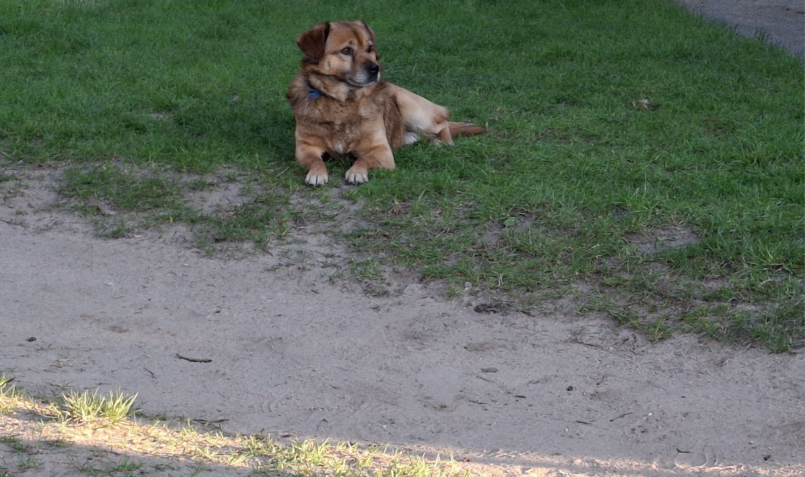 fot. Karolina Muttka