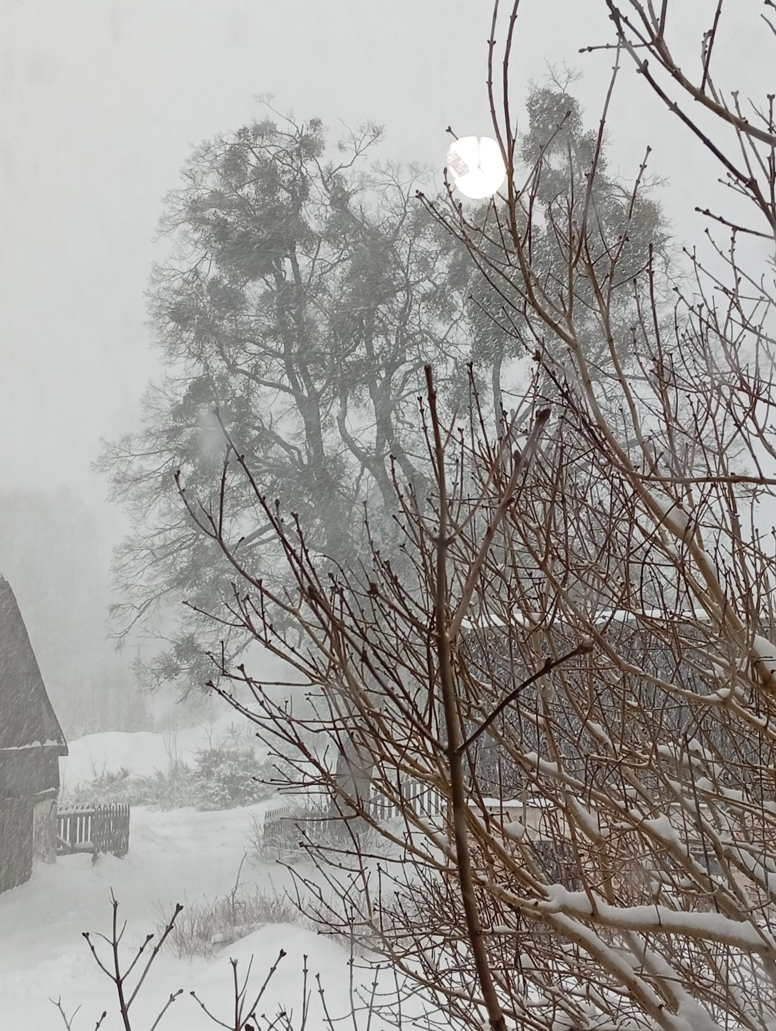 Zdjęcie: Monika Borowicka