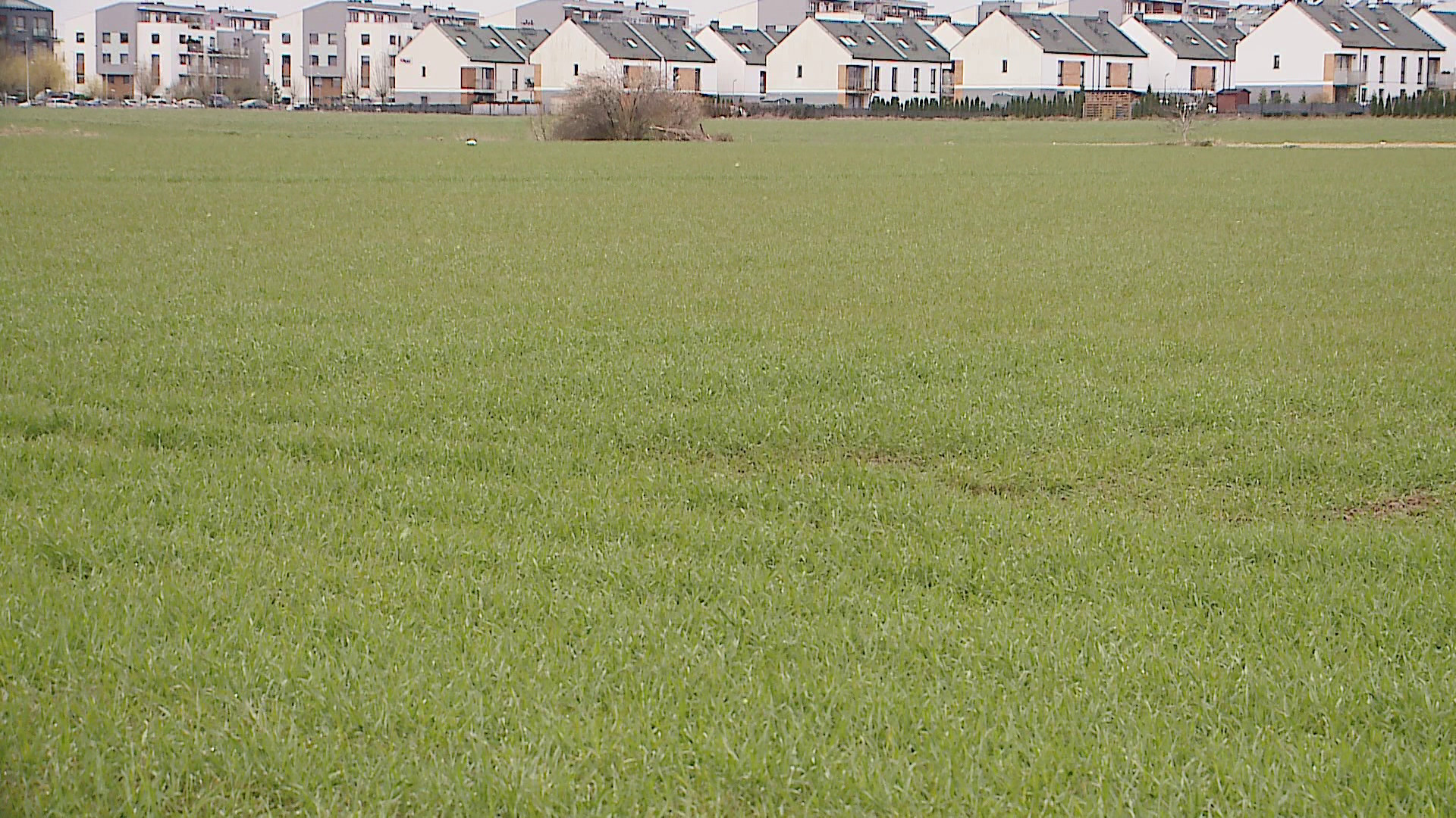 Fot. Marek Trybański/TTM