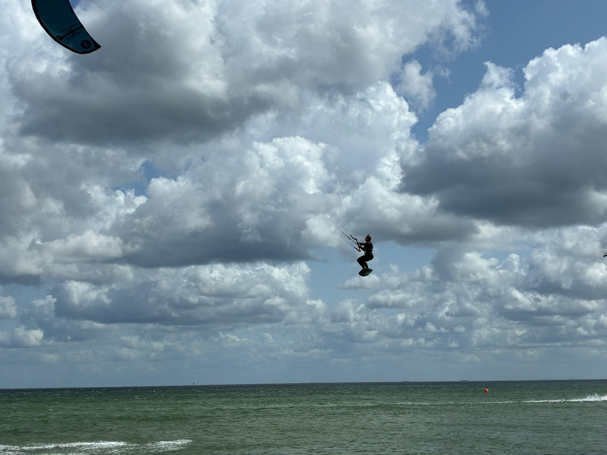 King of The Bay w Rewie/źródło: Twoja Telewizja Morska