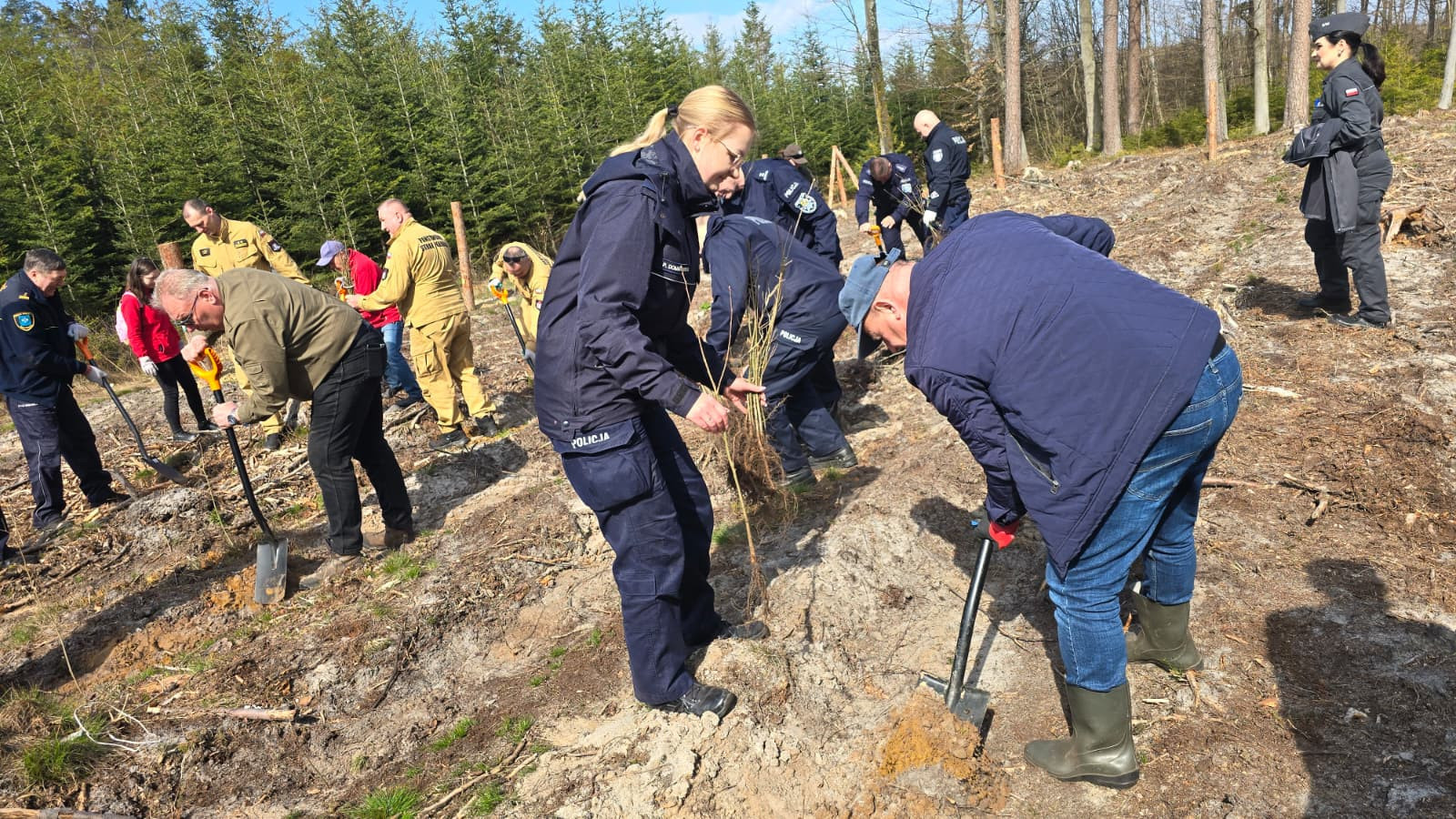 źródło: Twoja Telewizja Morska