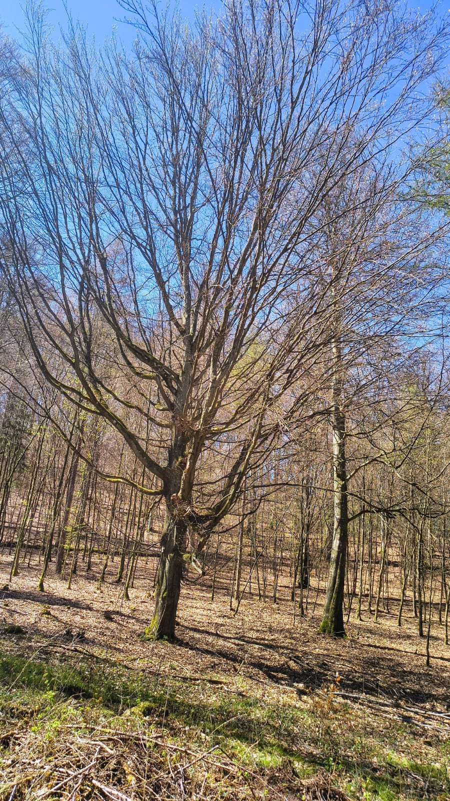 źródło: Nadmorski24.pl