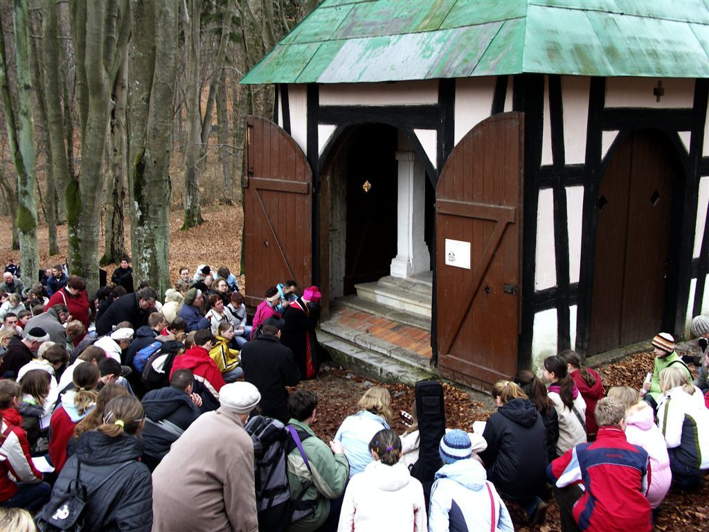 fot. Leszek Spigarski (archiwum)