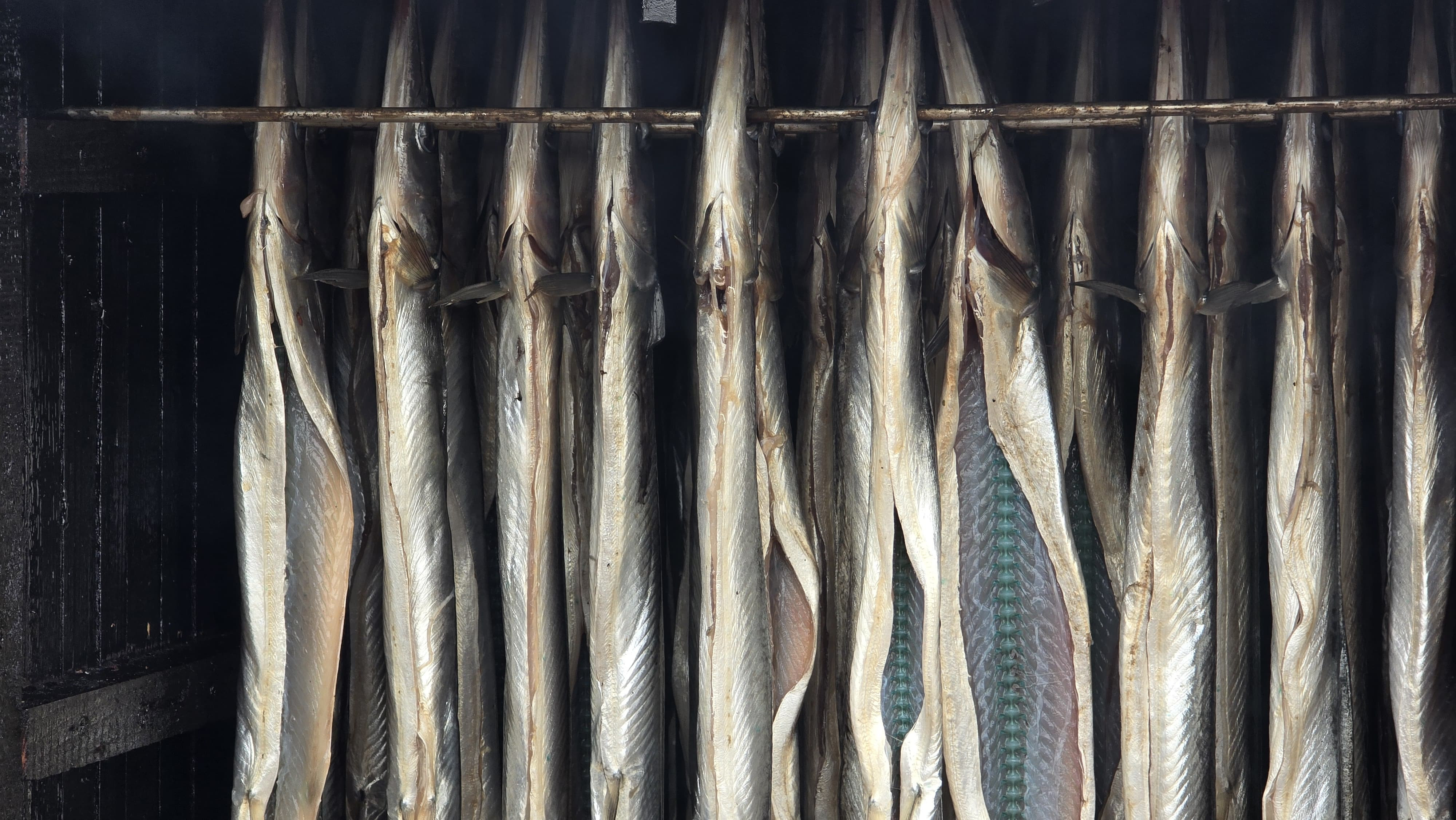 WhatsApp Image 2025-05-17 at 15.13.26.jpeg