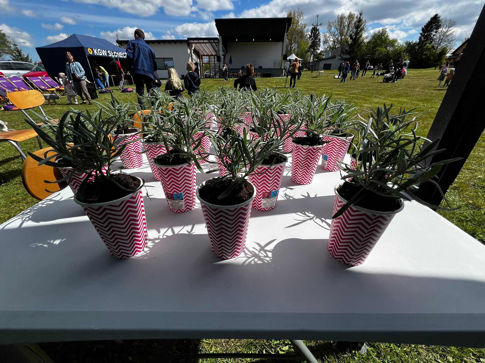 źródło: Twoja Telewizja Morska