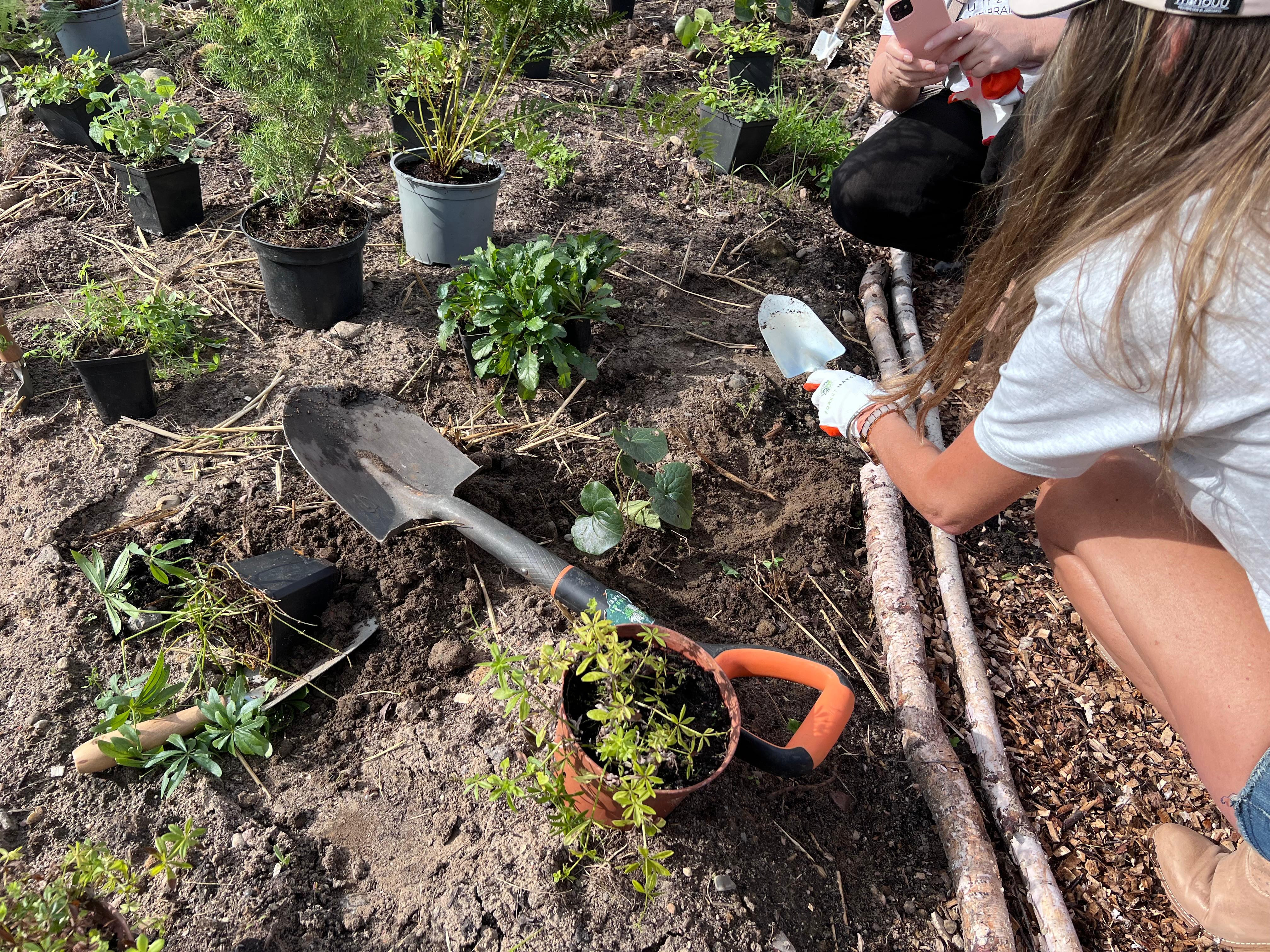 źródło: Twoja Telewizja Morska