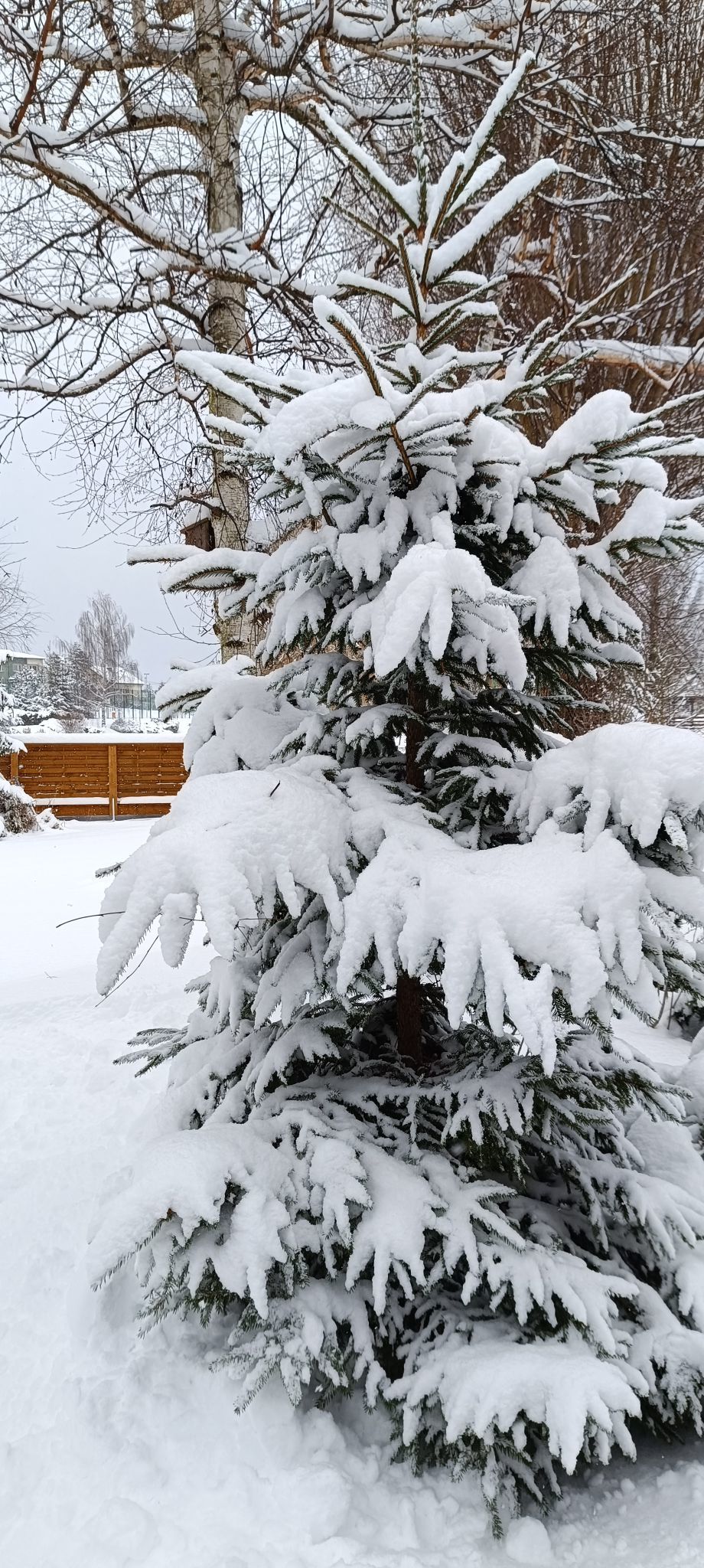 Zdjęcie: Tomasz Steinborn Gabriela Okupińska