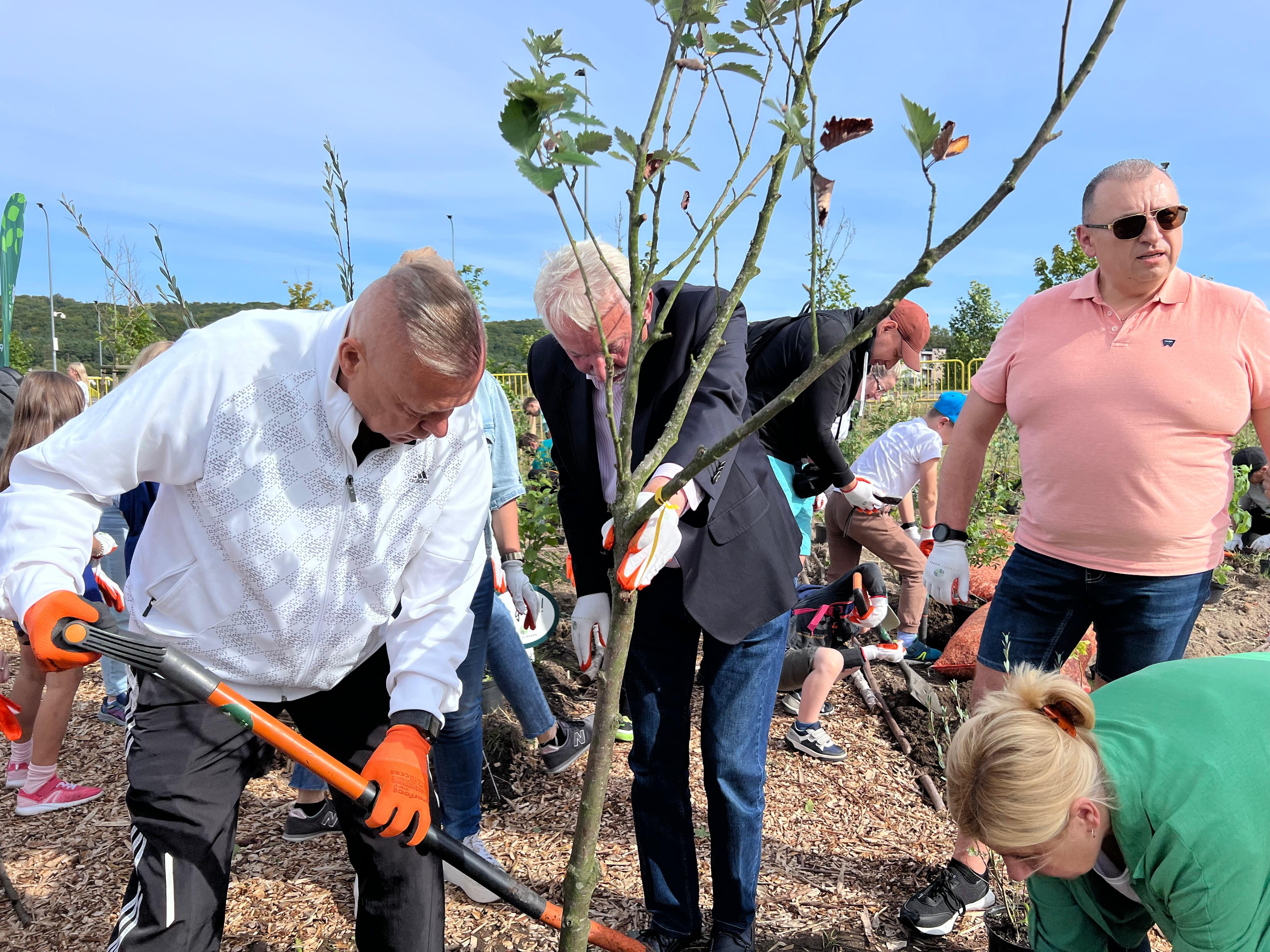 źródło: Twoja Telewizja Morska